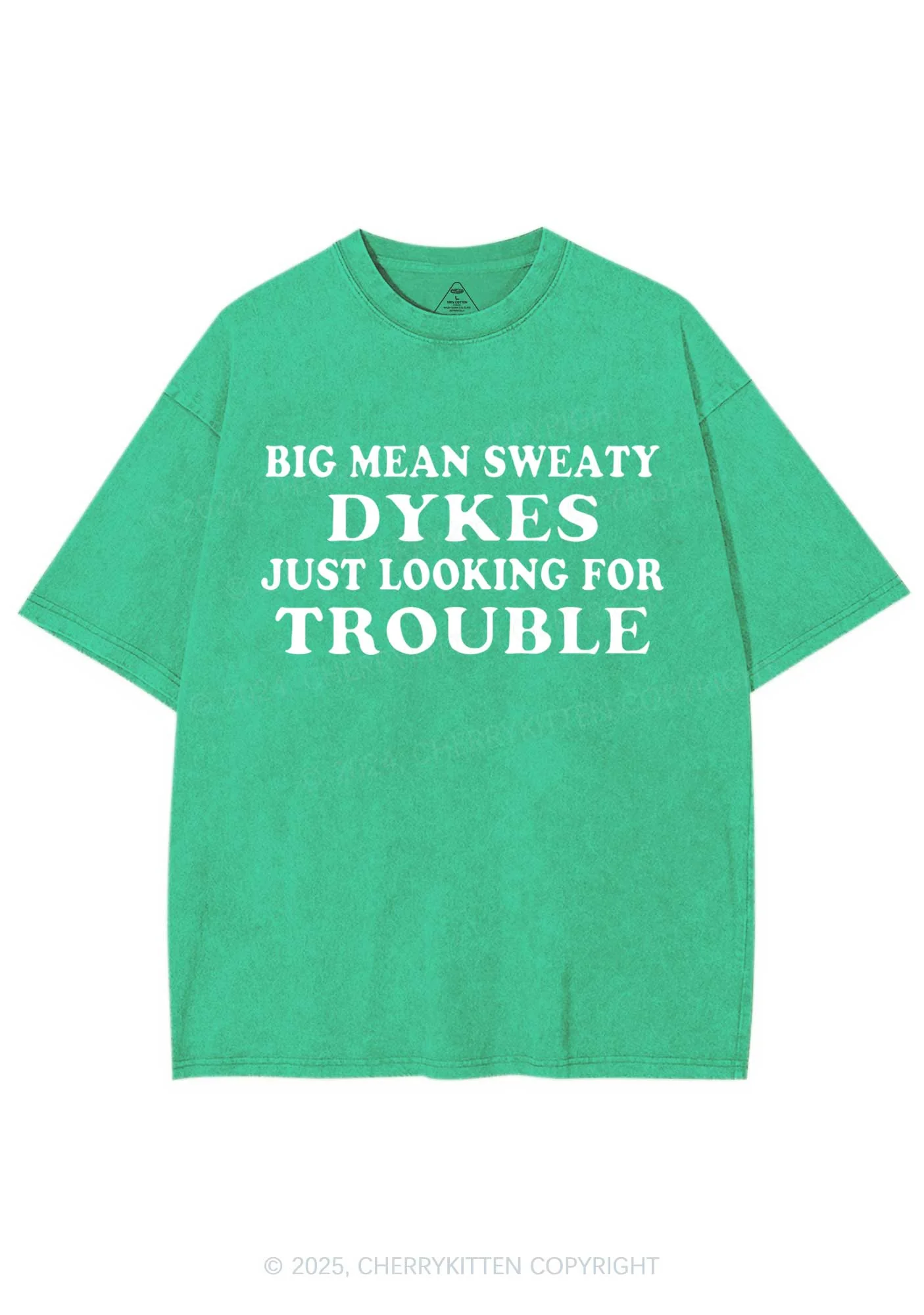 Dykes Trouble Y2K Shirts Washed Tee Cherrykitten - Image 6