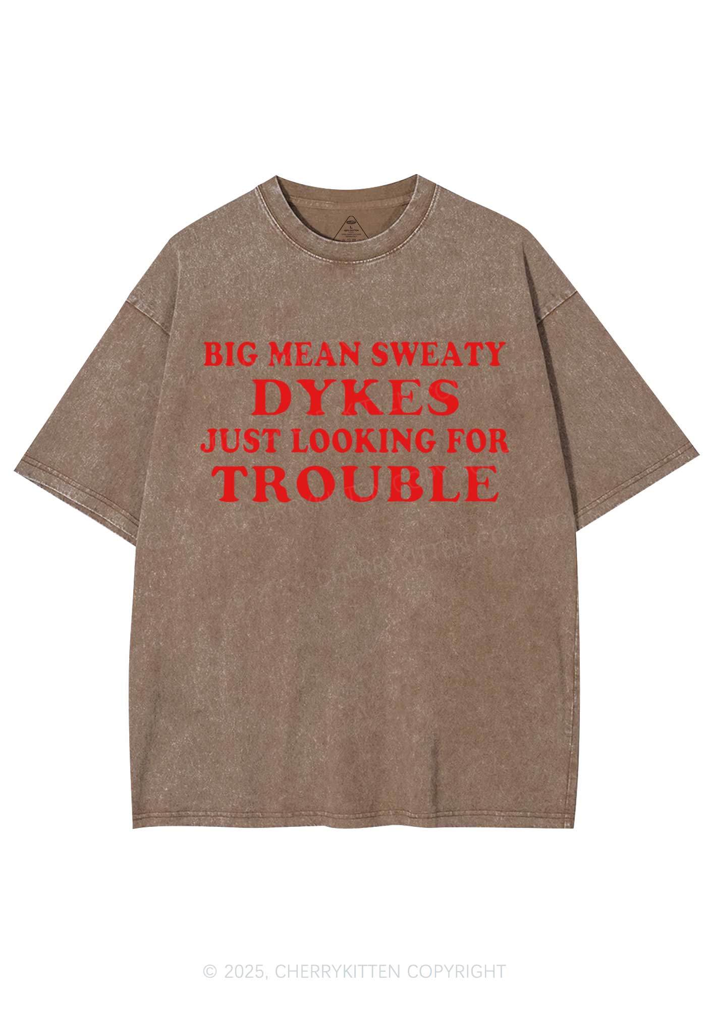 Dykes Trouble Y2K Shirts Washed Tee Cherrykitten - Image 8