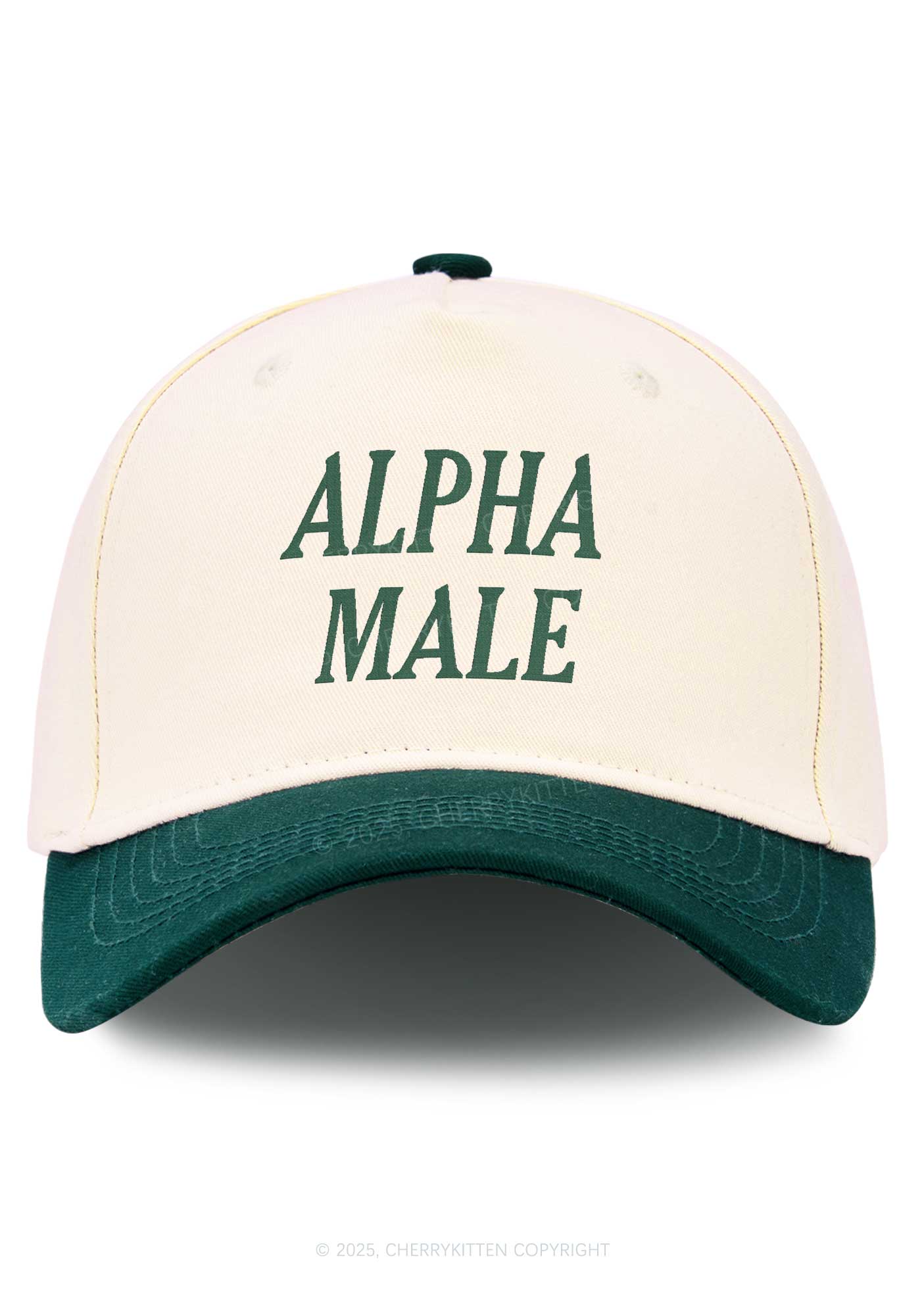 Embroidered Alpha Male Y2K Color Block Baseball Cap Cherrykitten - Image 4
