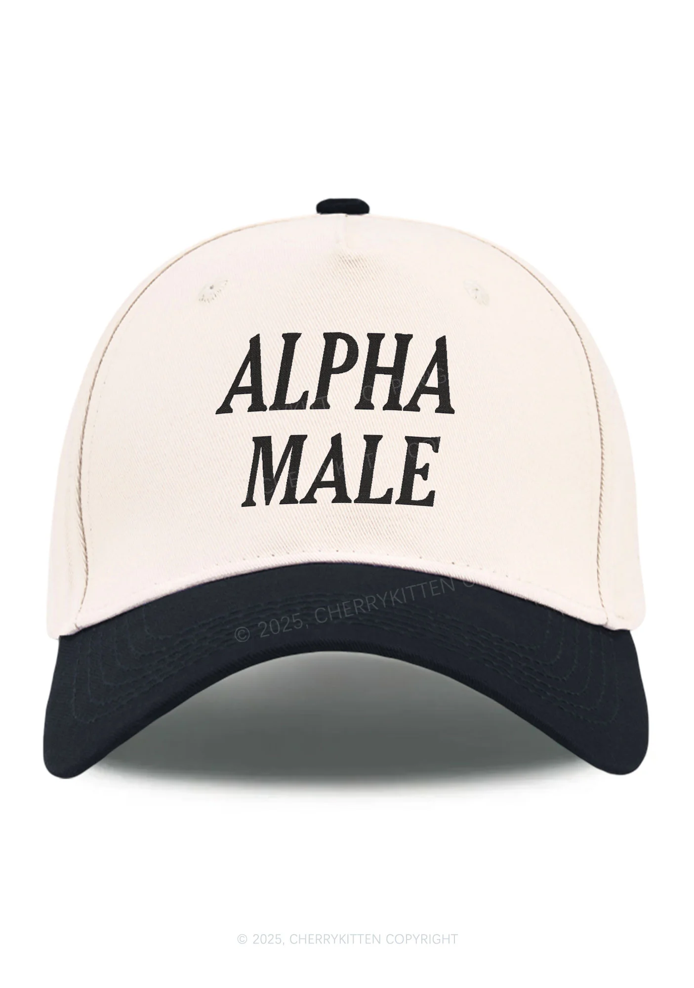Embroidered Alpha Male Y2K Color Block Baseball Cap Cherrykitten - Image 6