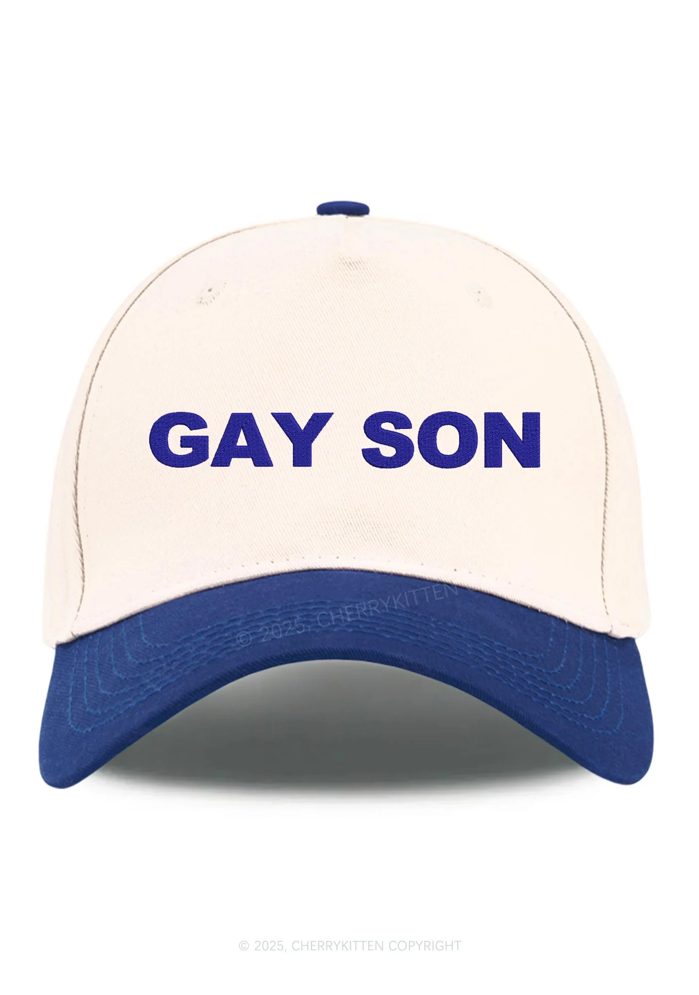 Embroidered Gay Son Pride Y2K Color Block Baseball Cap Cherrykitten - Image 10