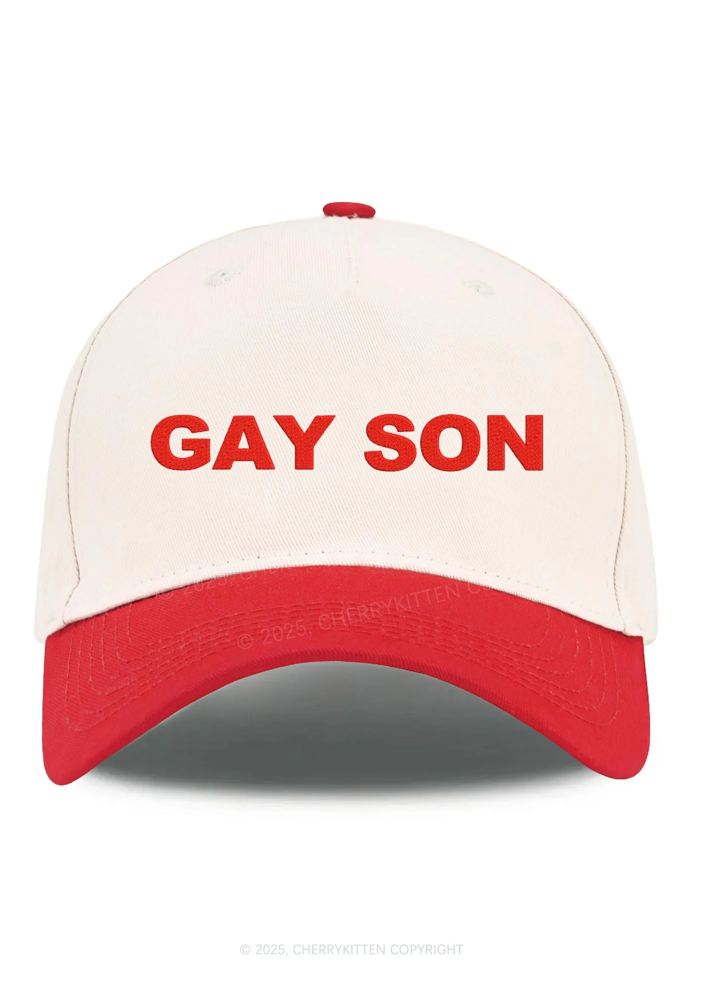 Embroidered Gay Son Pride Y2K Color Block Baseball Cap Cherrykitten - Image 12