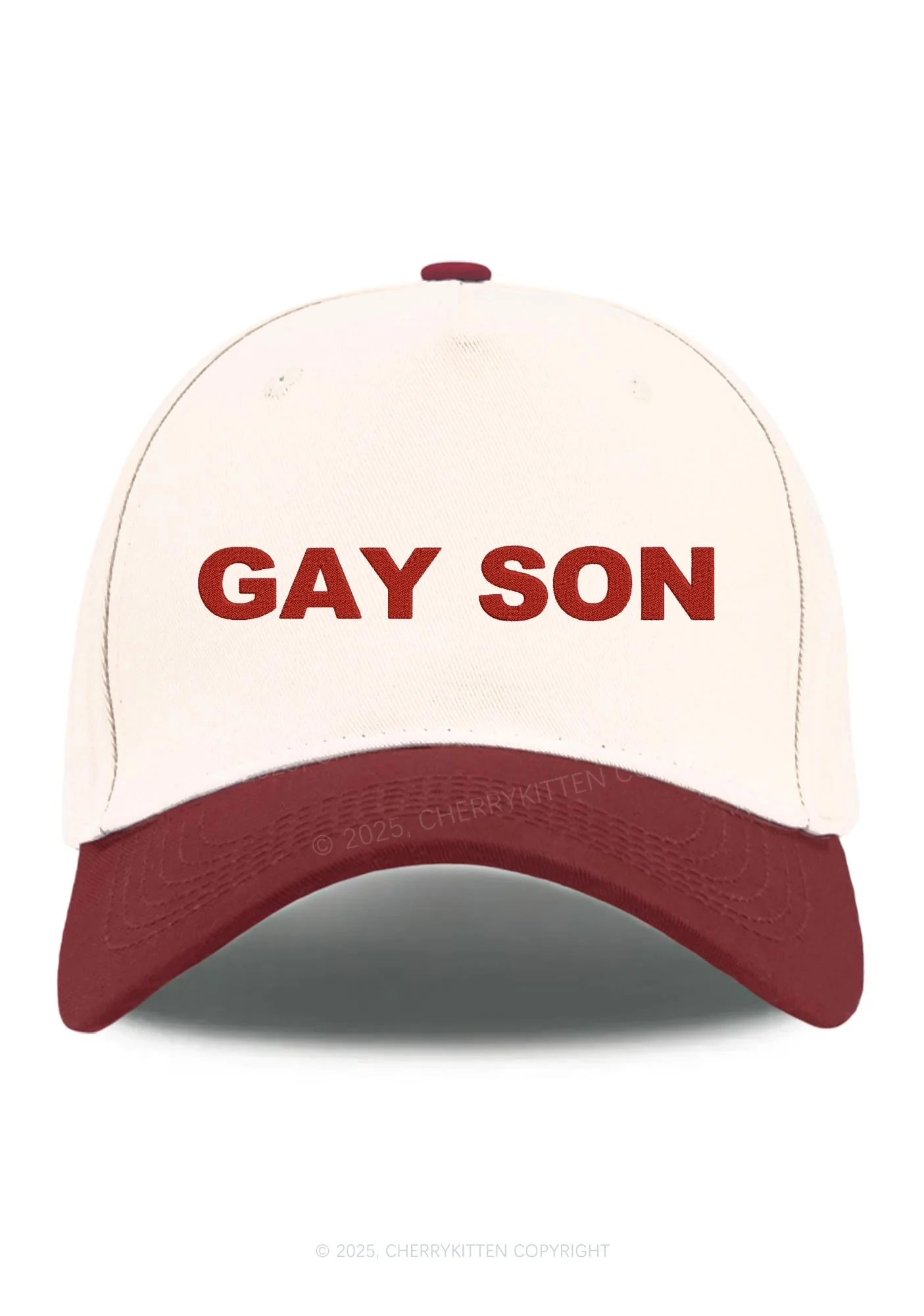 Embroidered Gay Son Pride Y2K Color Block Baseball Cap Cherrykitten - Image 13