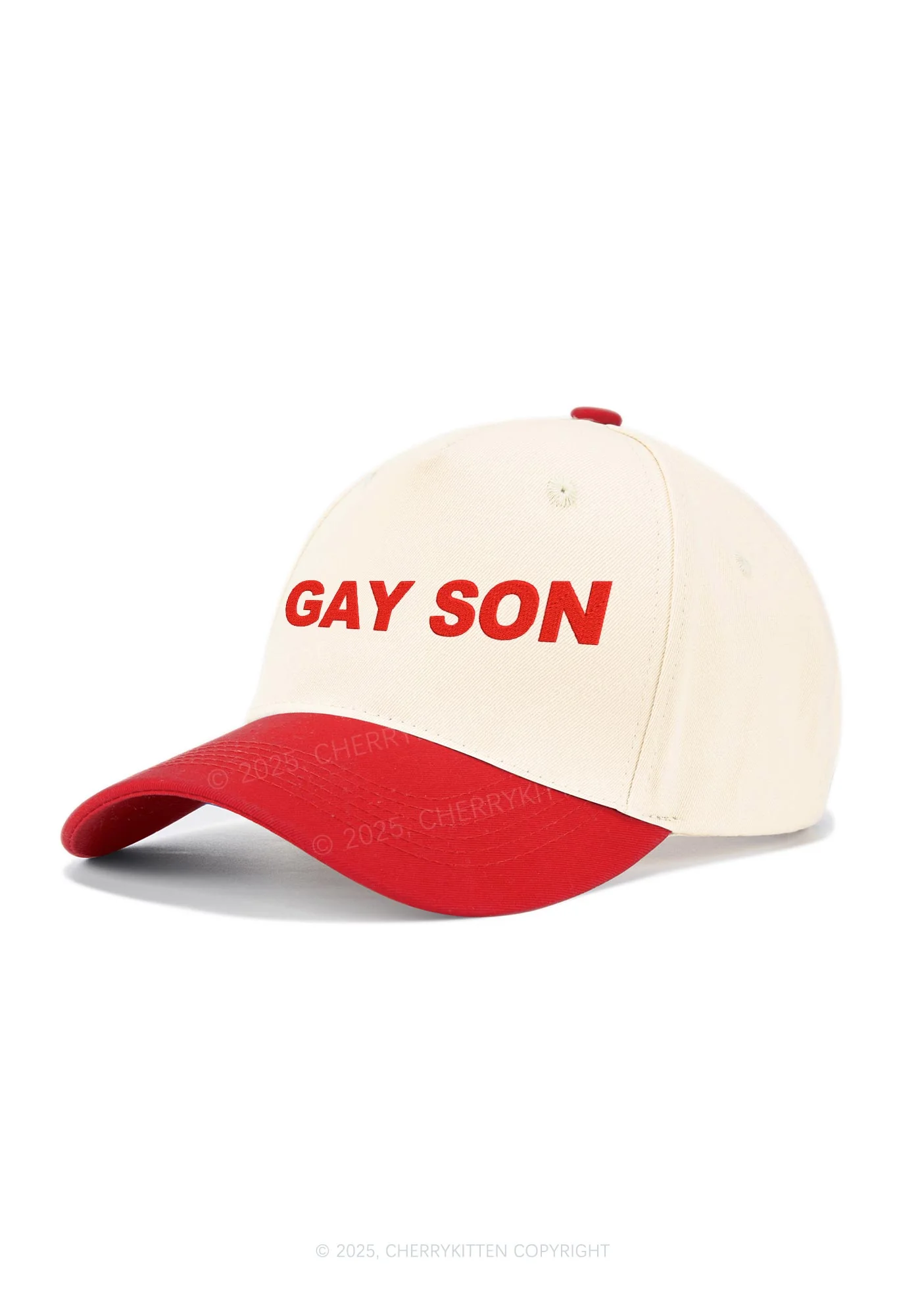 Embroidered Gay Son Pride Y2K Color Block Baseball Cap Cherrykitten - Image 2