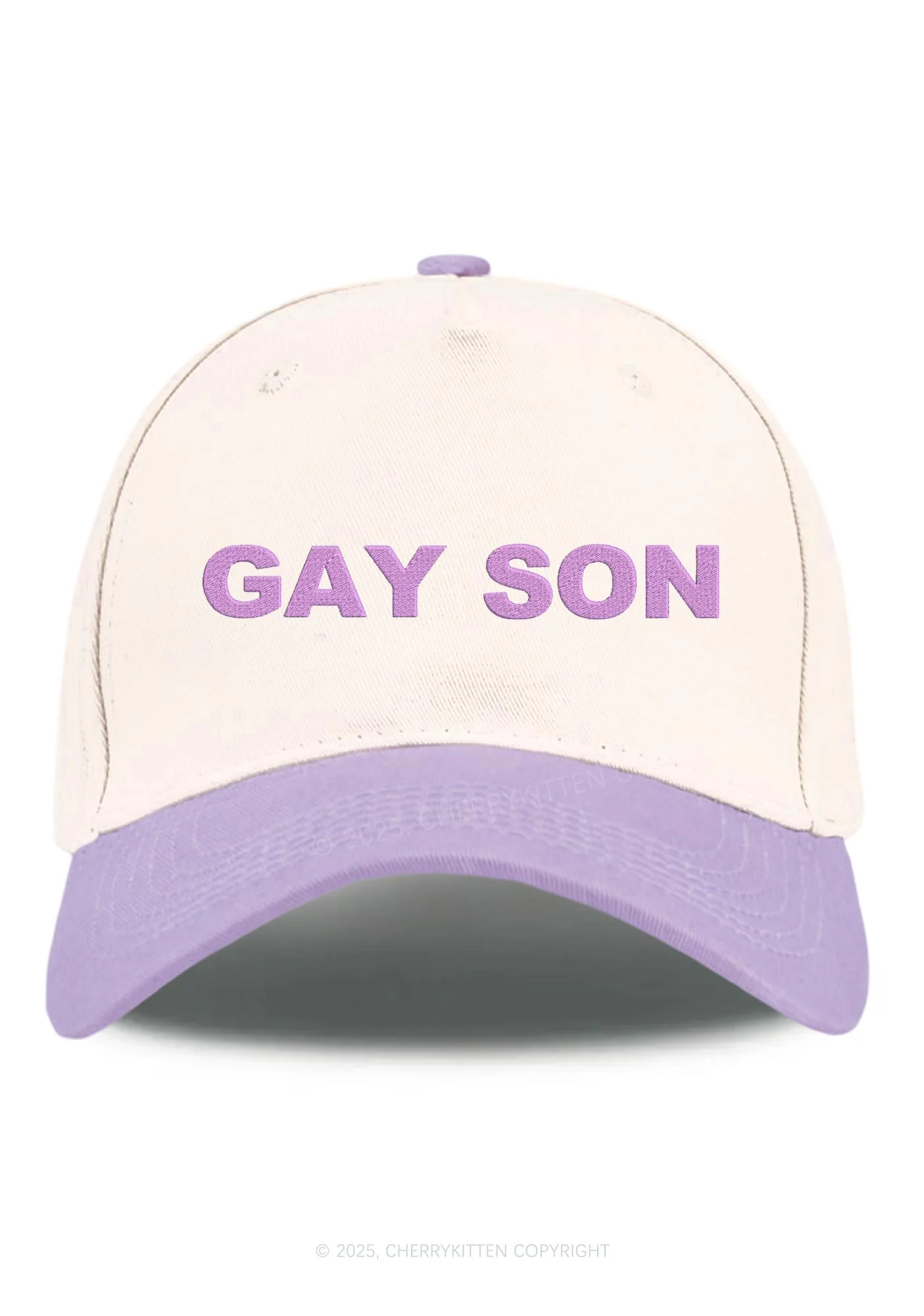 Embroidered Gay Son Pride Y2K Color Block Baseball Cap Cherrykitten - Image 4