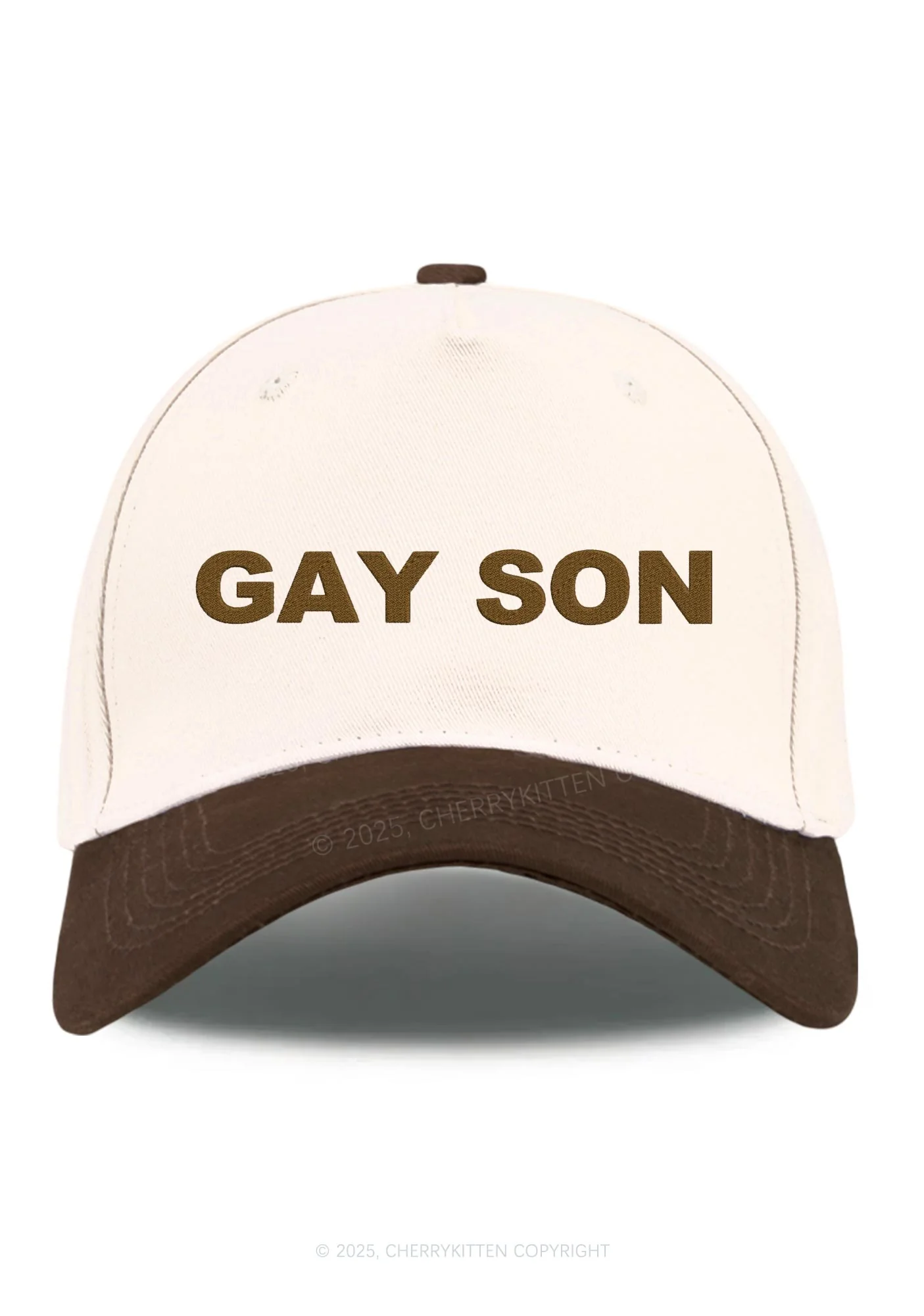Embroidered Gay Son Pride Y2K Color Block Baseball Cap Cherrykitten - Image 9