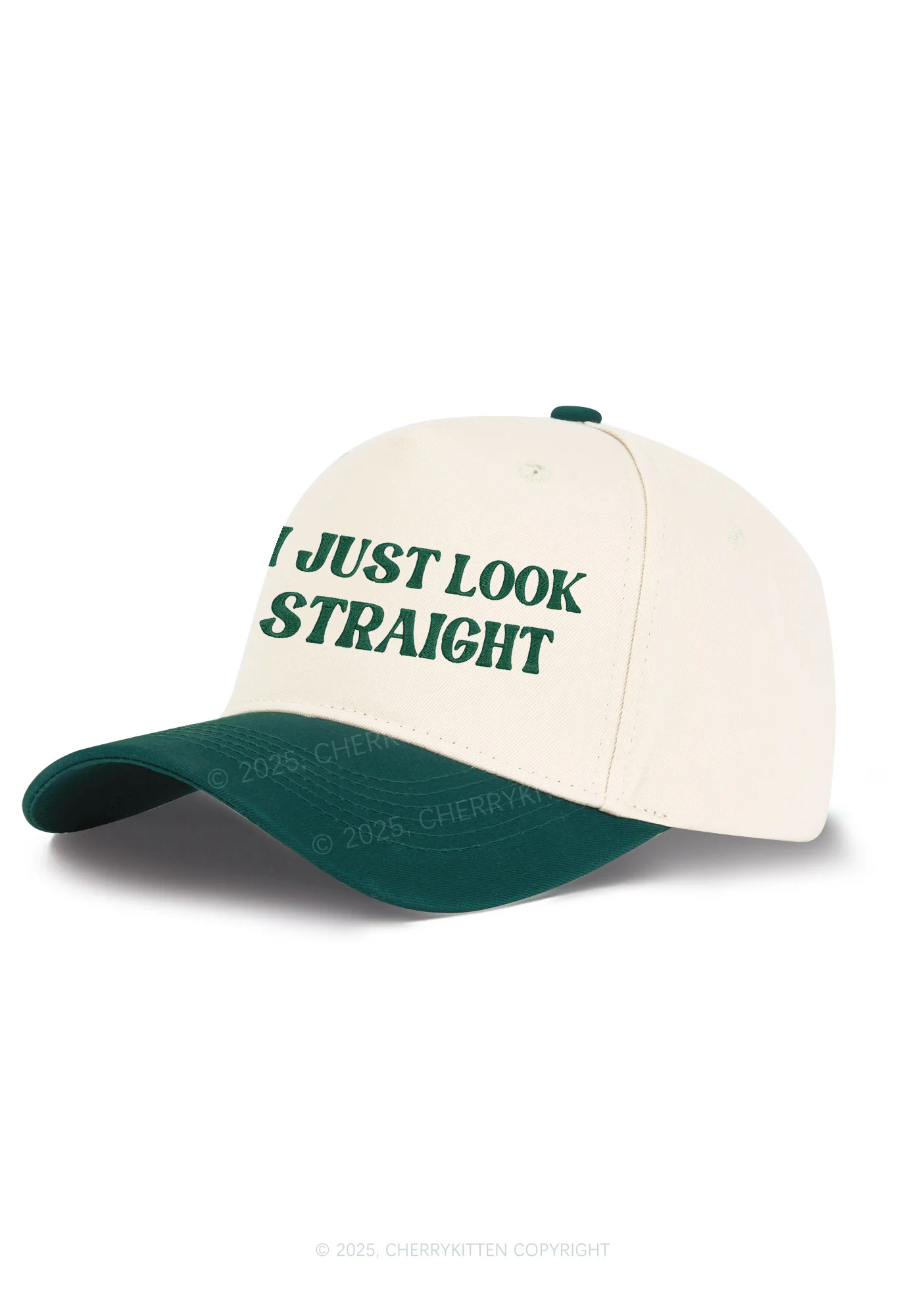 Embroidered I Just Look Straight Pride Y2K Color Block Baseball Cap Cherrykitten - Image 2