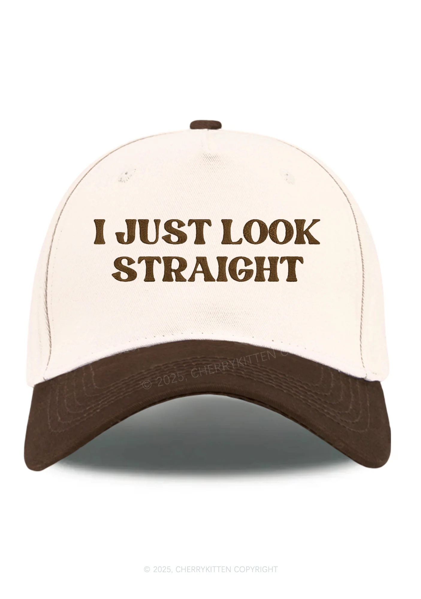Embroidered I Just Look Straight Pride Y2K Color Block Baseball Cap Cherrykitten - Image 9