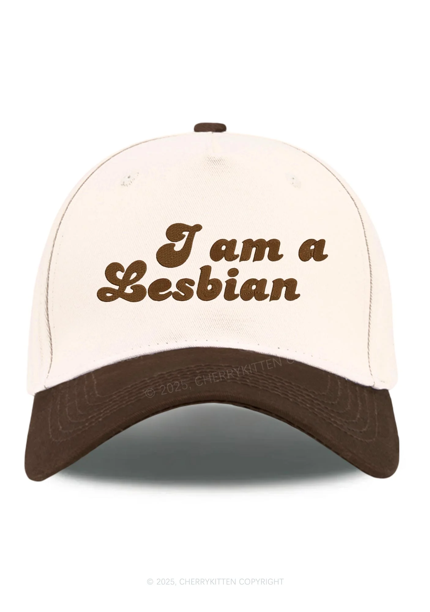 Embroidered Im Lesbian Pride Y2K Color Block Baseball Cap Cherrykitten - Image 10