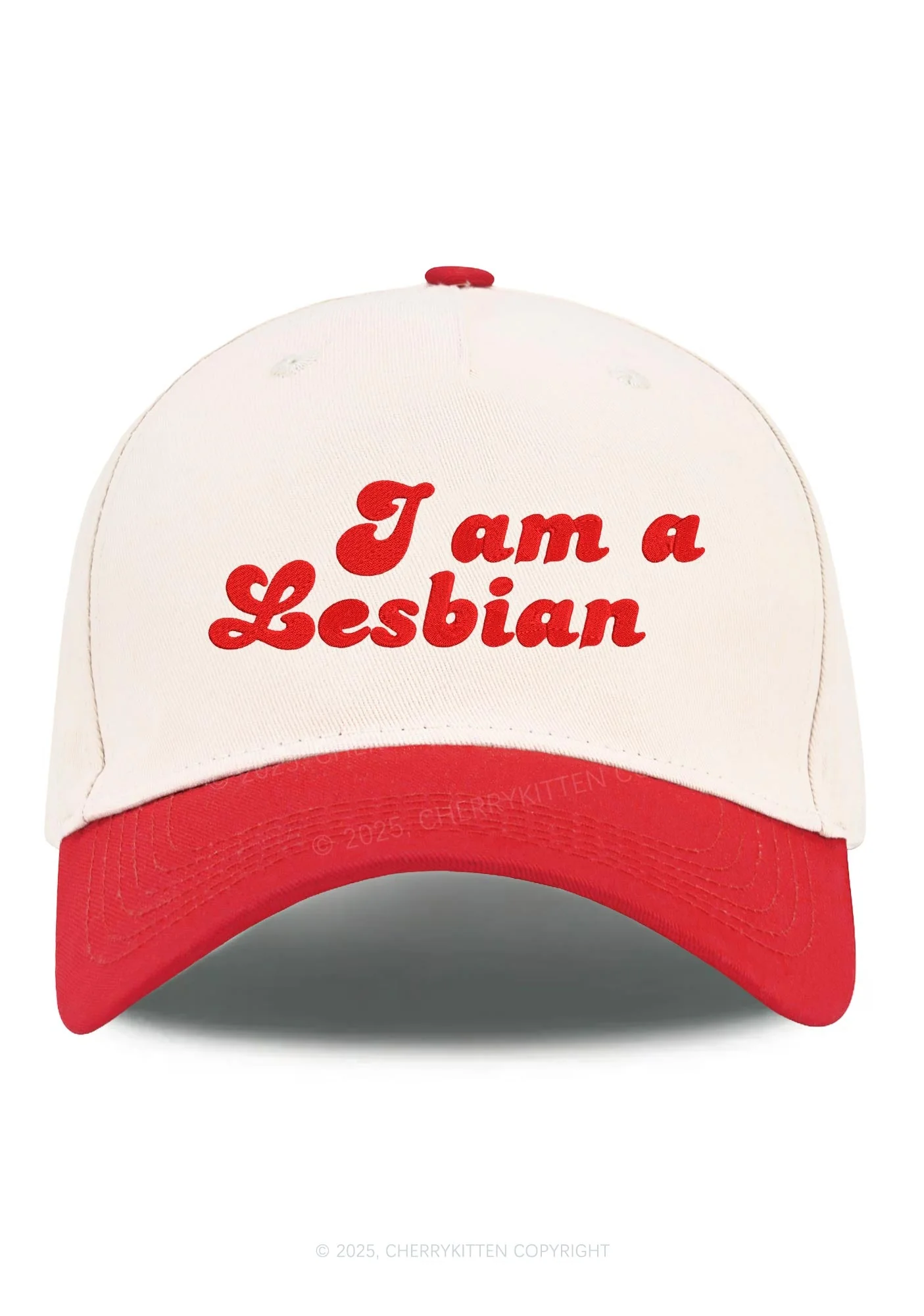Embroidered Im Lesbian Pride Y2K Color Block Baseball Cap Cherrykitten - Image 11
