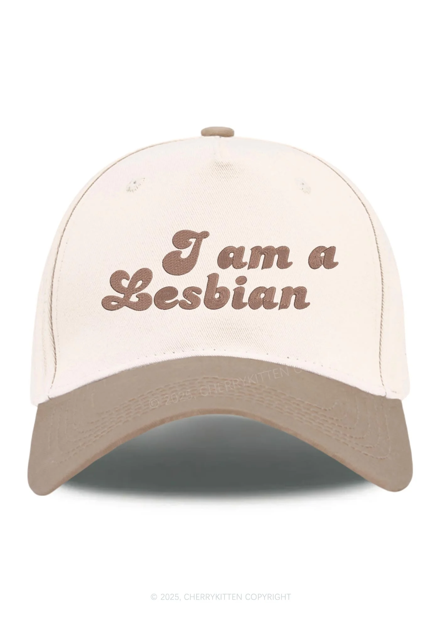 Embroidered Im Lesbian Pride Y2K Color Block Baseball Cap Cherrykitten - Image 13