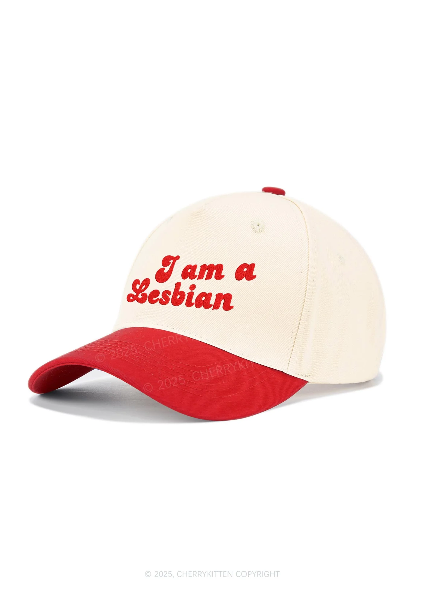 Embroidered Im Lesbian Pride Y2K Color Block Baseball Cap Cherrykitten - Image 2