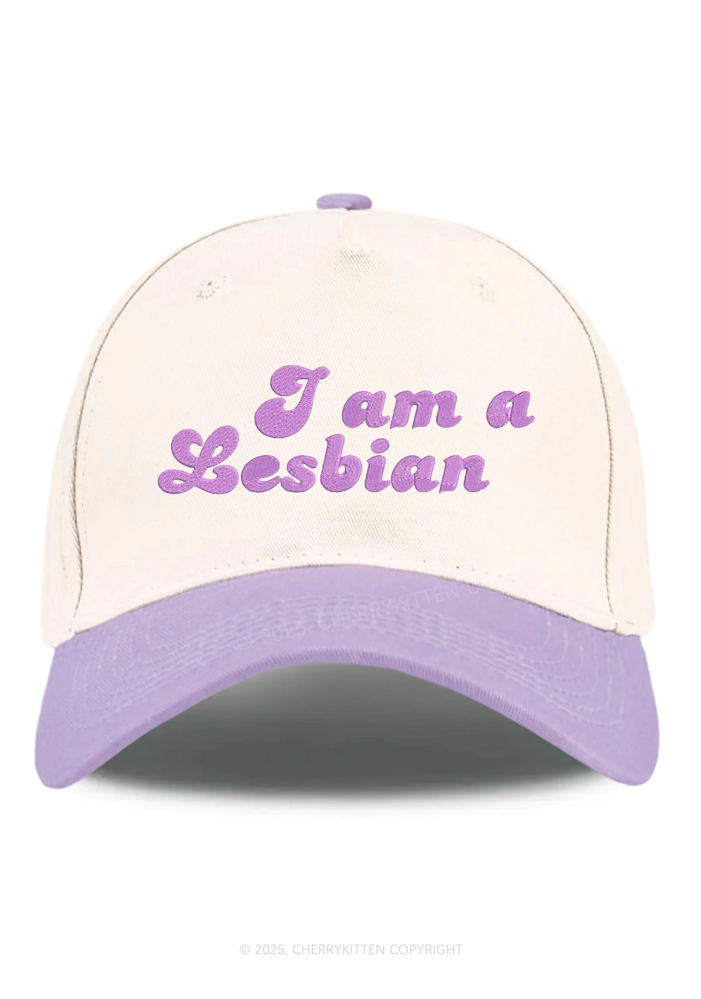 Embroidered Im Lesbian Pride Y2K Color Block Baseball Cap Cherrykitten - Image 3
