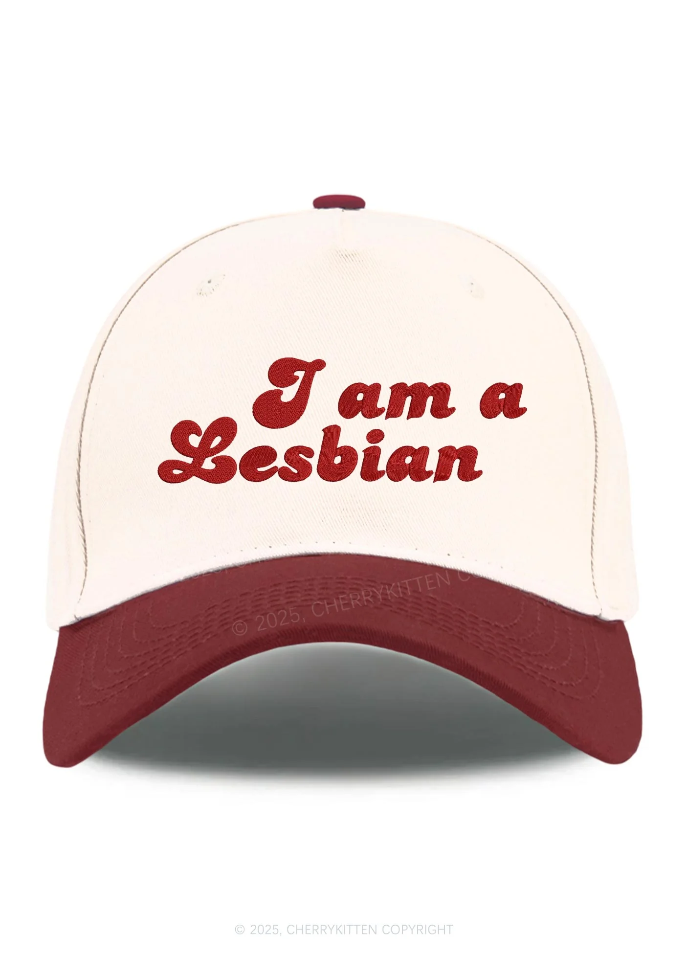 Embroidered Im Lesbian Pride Y2K Color Block Baseball Cap Cherrykitten - Image 9