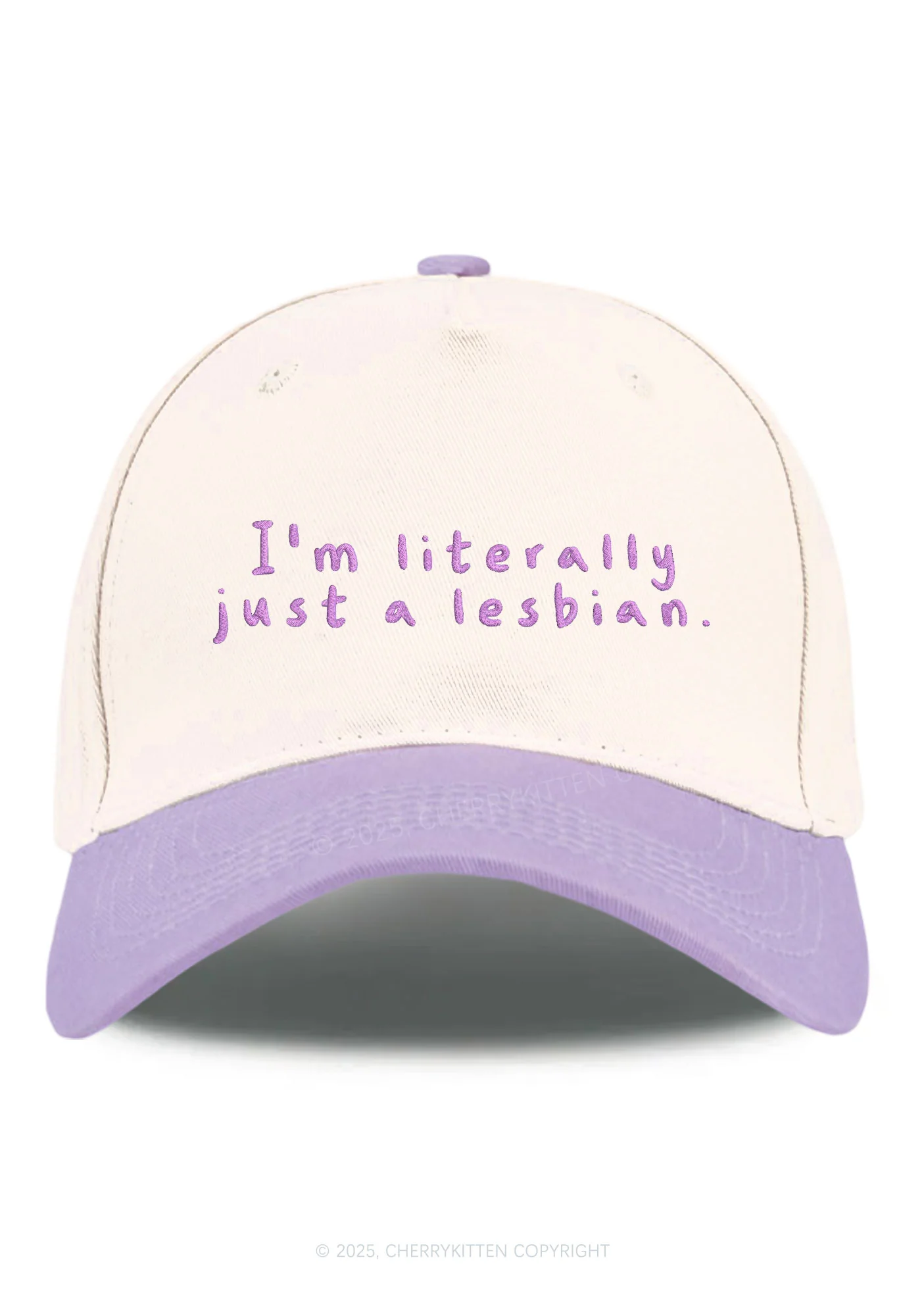 Embroidered Just A Lesbian Pride Y2K Color Block Baseball Cap Cherrykitten - Image 3