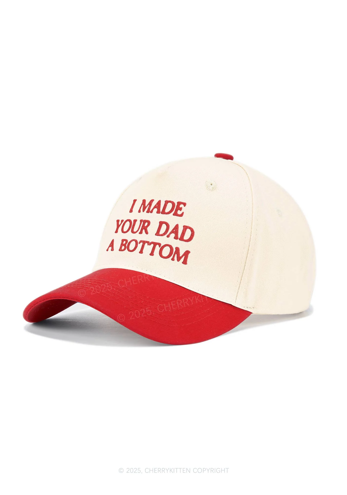 Embroidered Made Your Dad Bottom Pride Y2K Color Block Baseball Cap Cherrykitten - Image 2