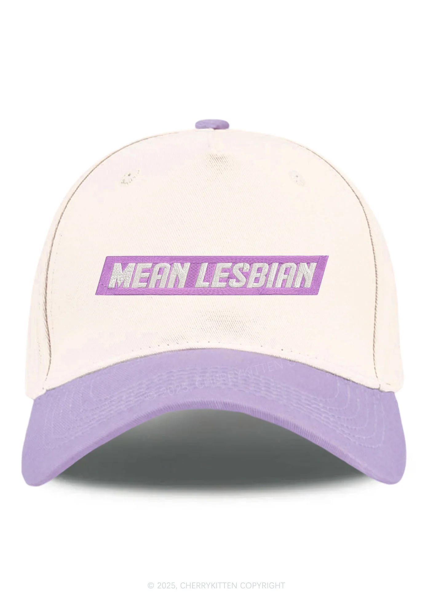 Embroidered Mean Lesbian Pride Y2K Color Block Baseball Cap Cherrykitten - Image 12