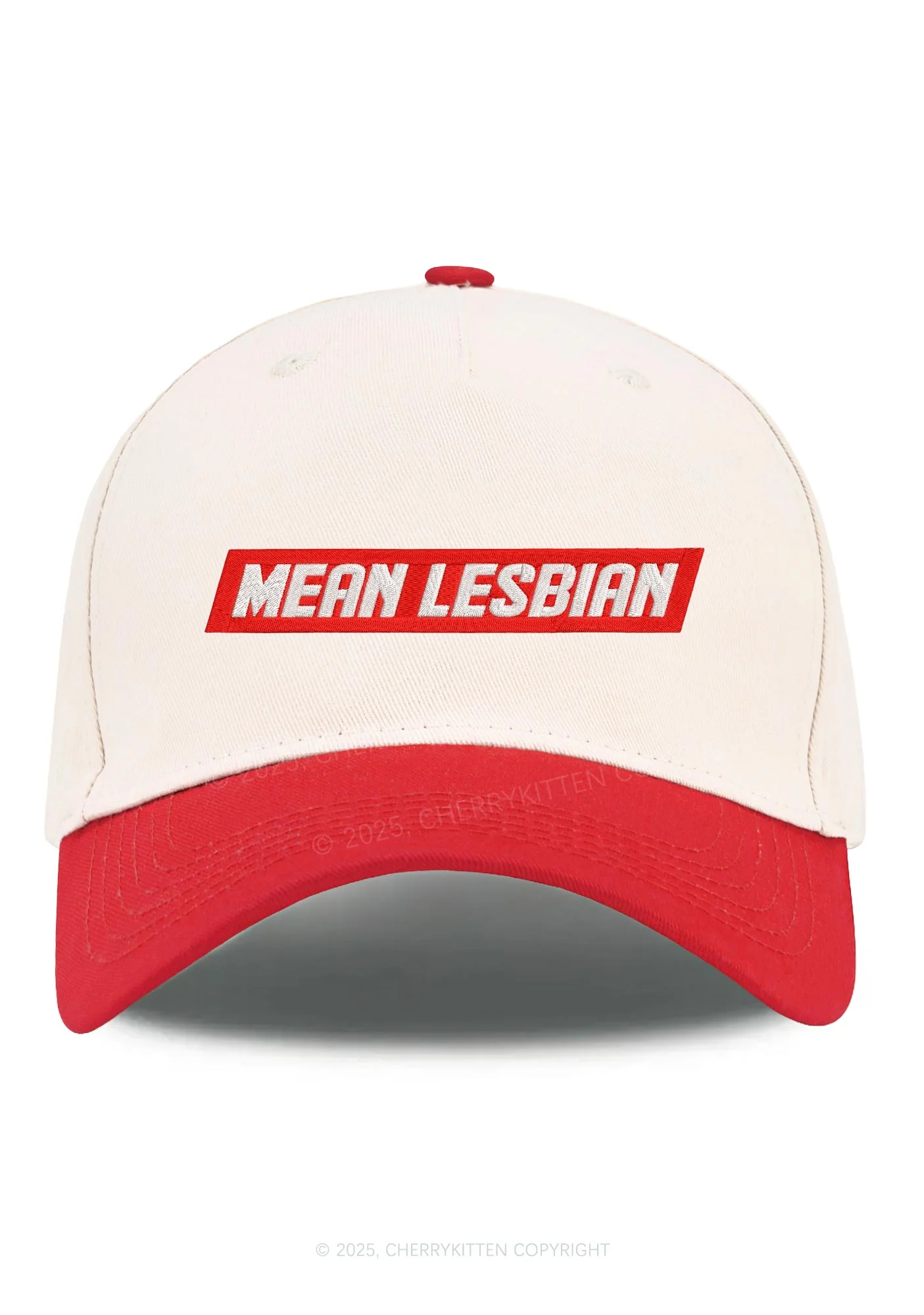 Embroidered Mean Lesbian Pride Y2K Color Block Baseball Cap Cherrykitten - Image 5