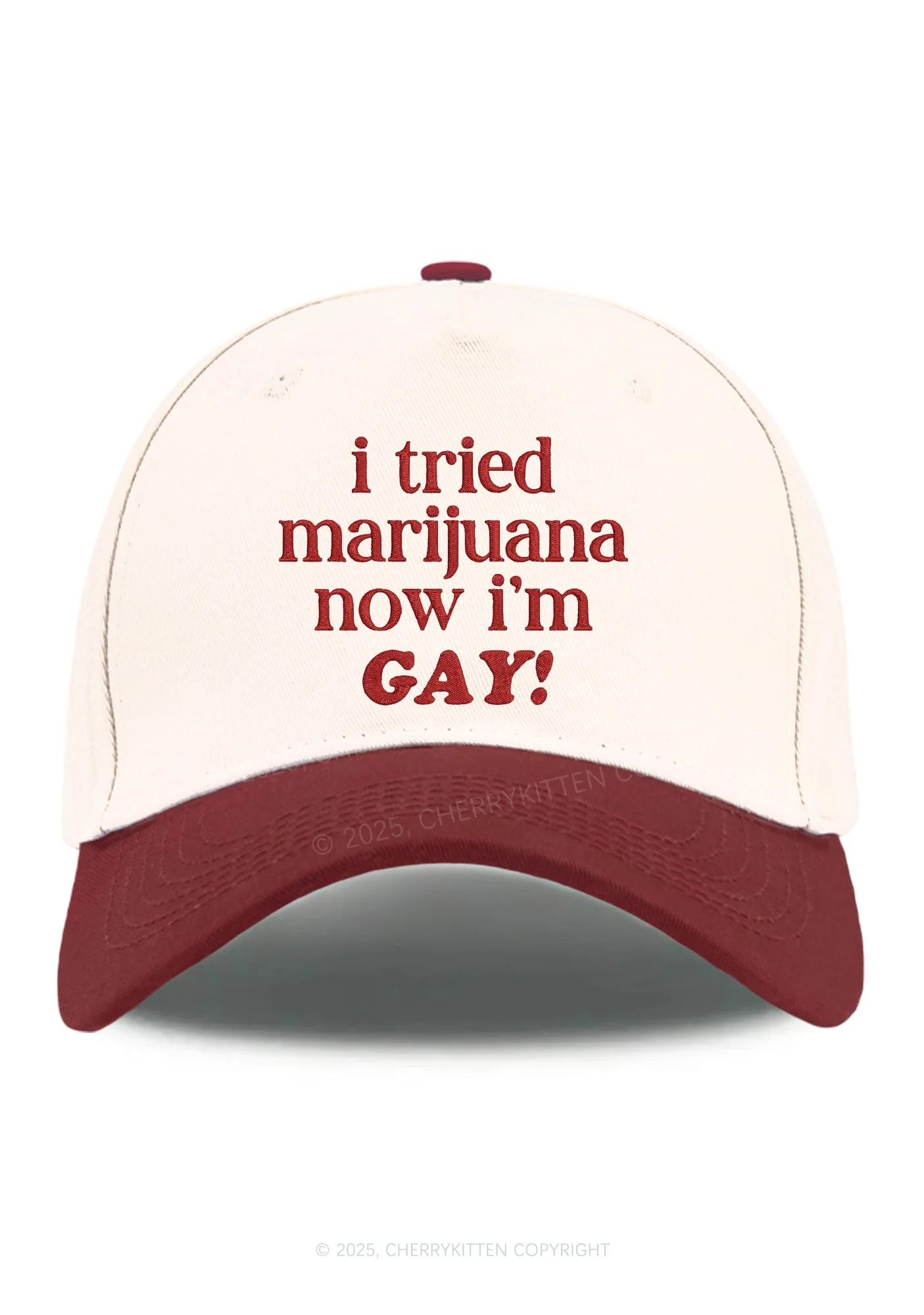 Embroidered Now Im Gay Pride Y2K Color Block Baseball Cap Cherrykitten - Image 11