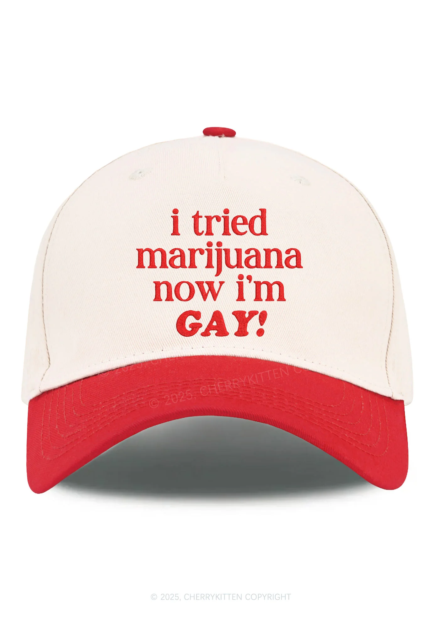 Embroidered Now Im Gay Pride Y2K Color Block Baseball Cap Cherrykitten - Image 4
