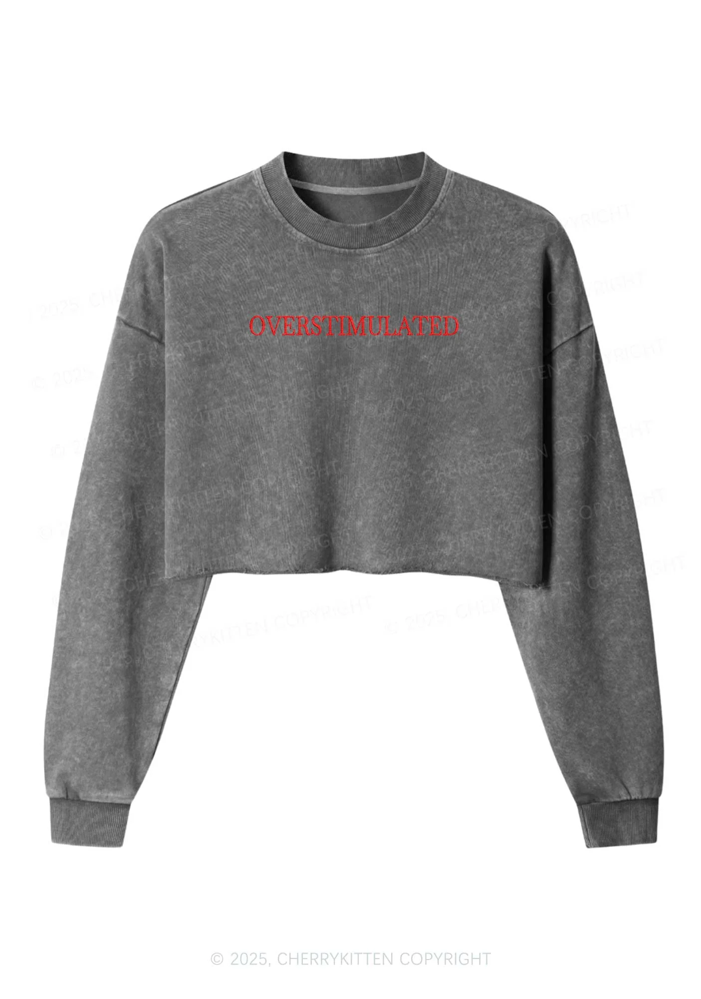 Embroidered Overstimulated Y2K Crop Washed Sweatshirts Cherrykitten - Image 3