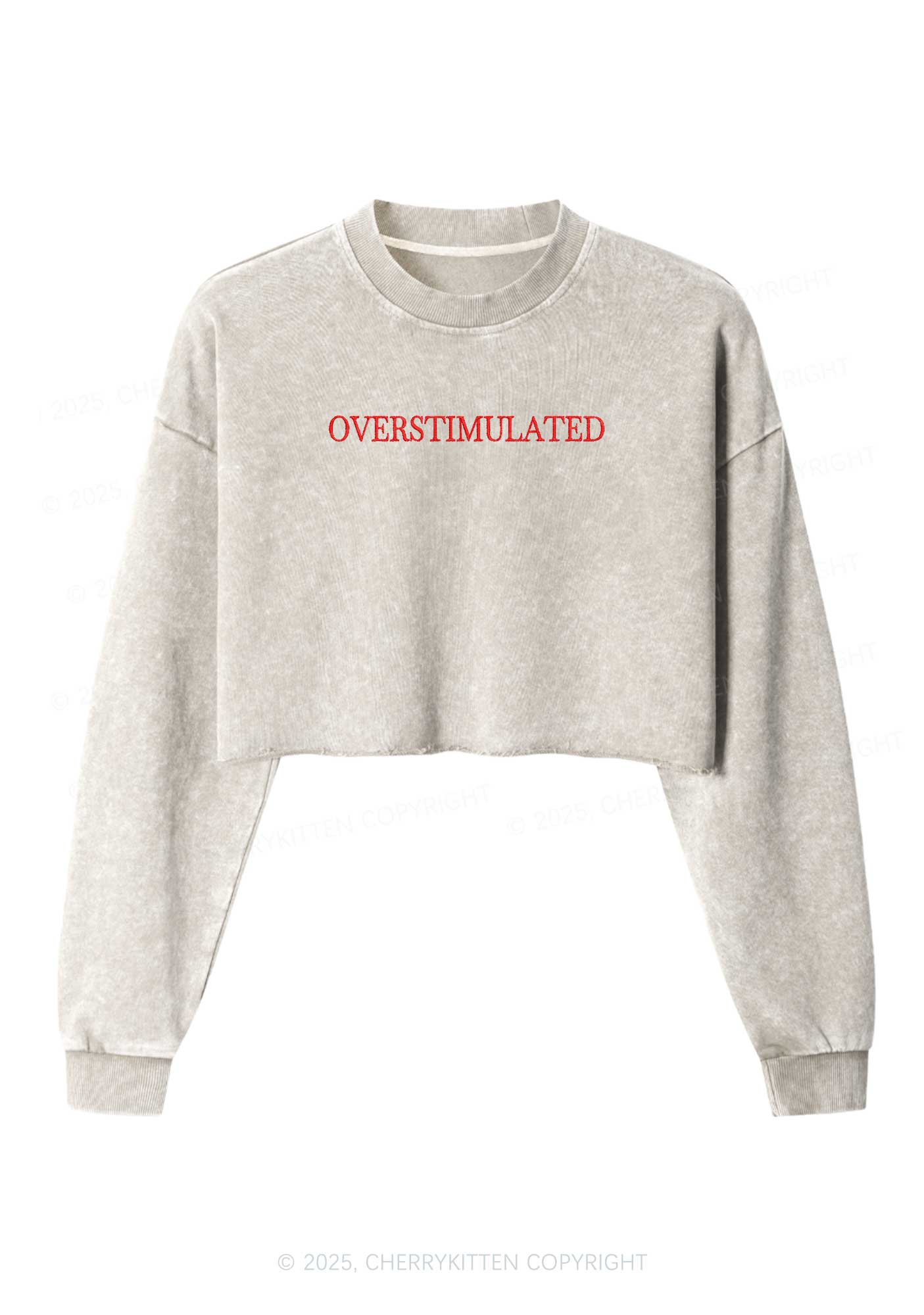 Embroidered Overstimulated Y2K Crop Washed Sweatshirts Cherrykitten - Image 4