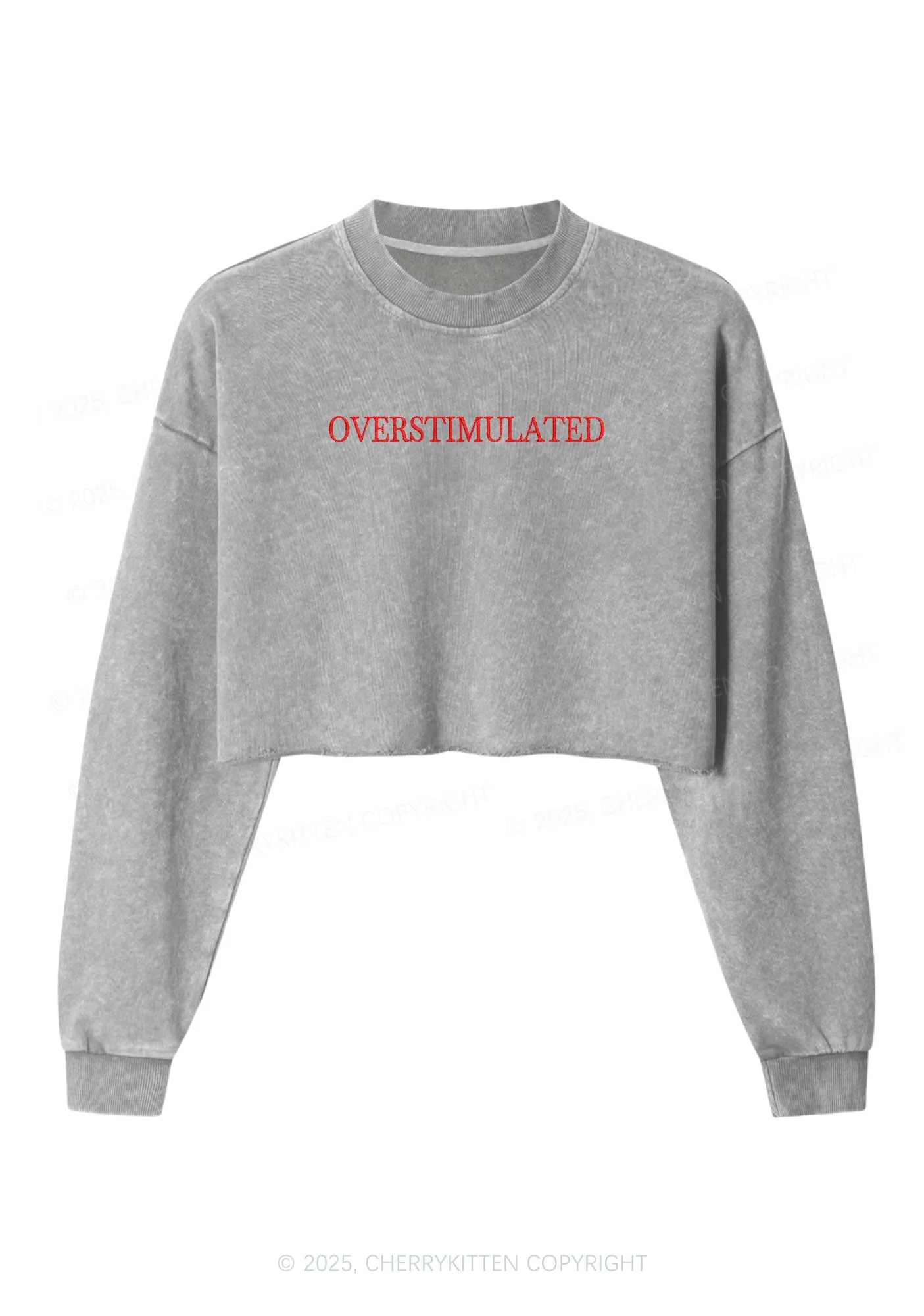 Embroidered Overstimulated Y2K Crop Washed Sweatshirts Cherrykitten - Image 5