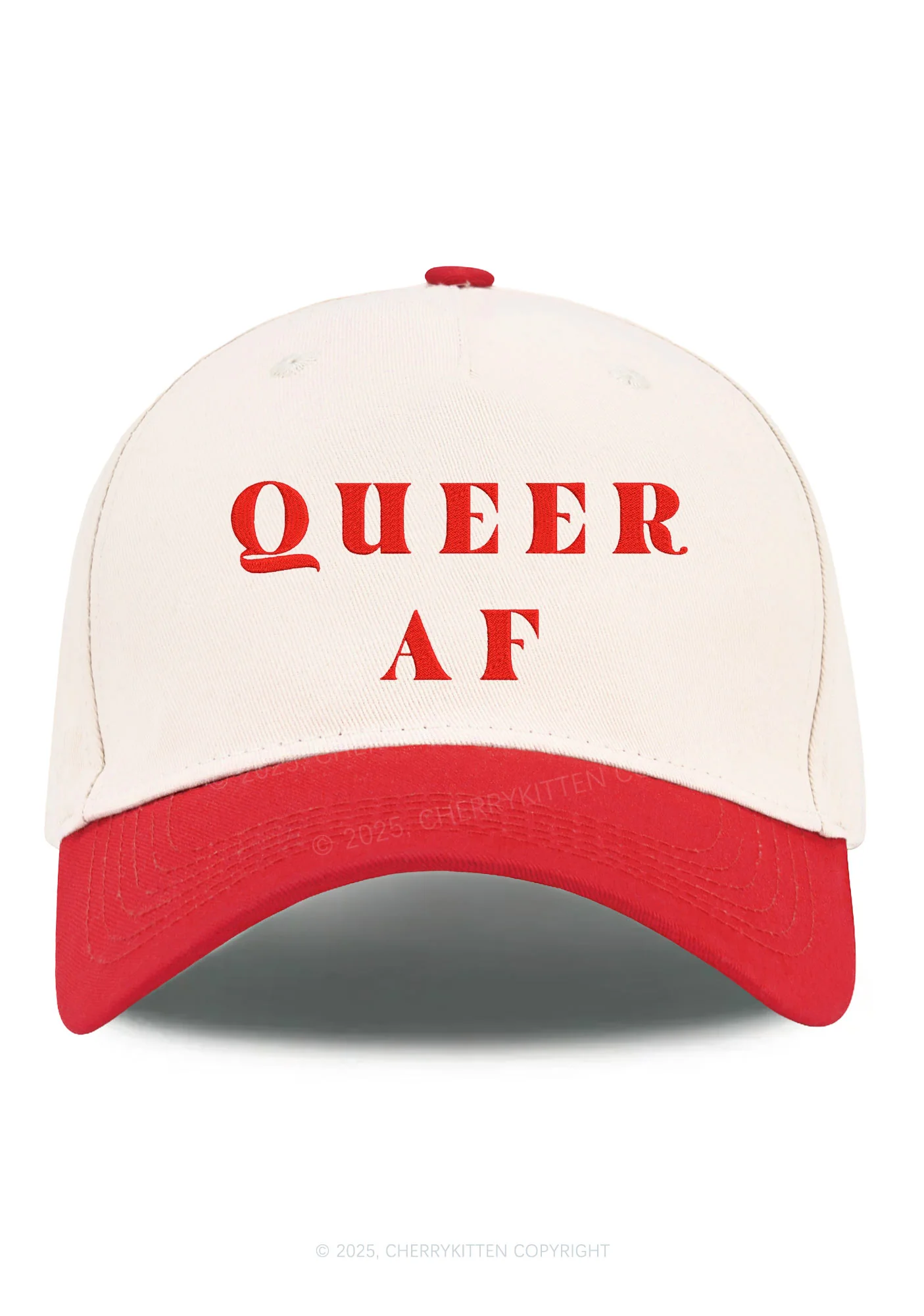 Embroidered Queer AF Pride Y2K Color Block Baseball Cap Cherrykitten - Image 8