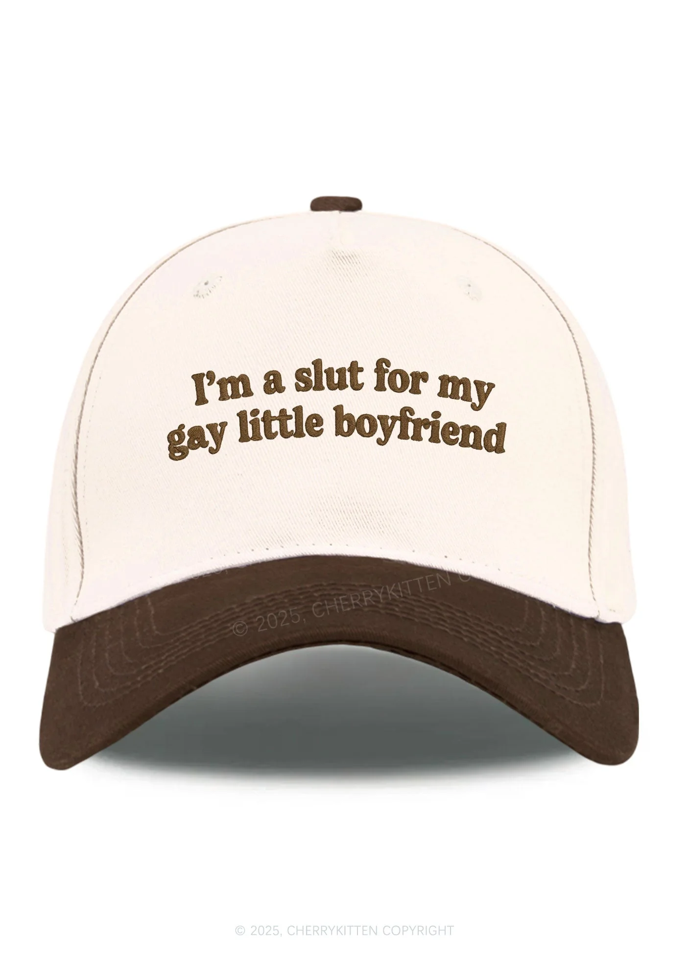 Embroidered Slxt For My Gay BF Pride Y2K Color Block Baseball Cap Cherrykitten - Image 11
