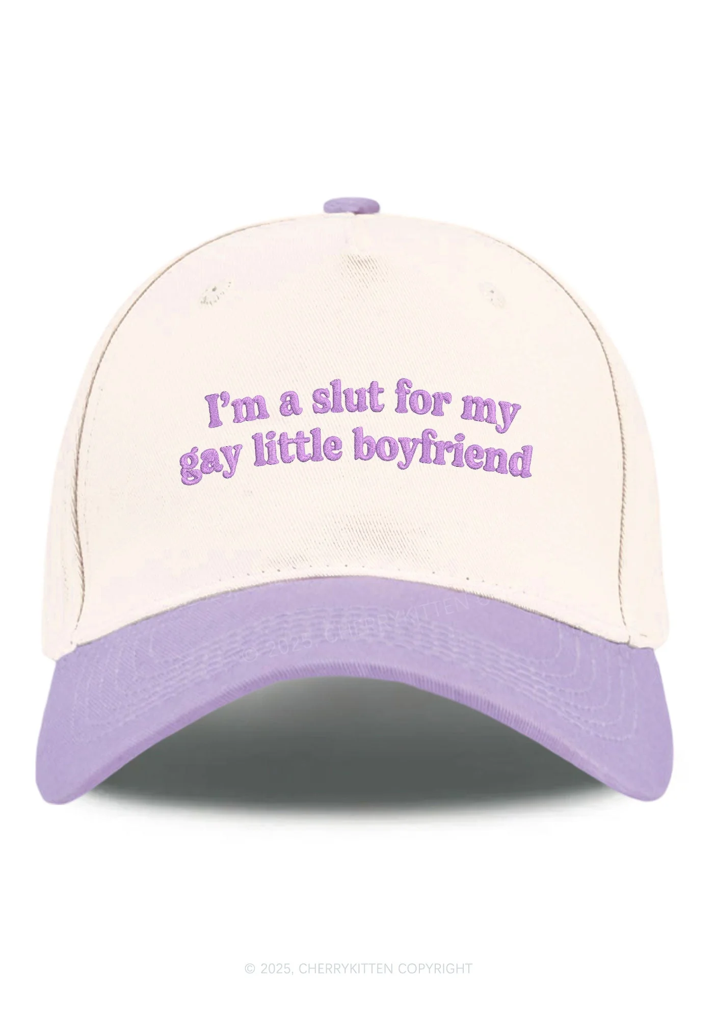 Embroidered Slxt For My Gay BF Pride Y2K Color Block Baseball Cap Cherrykitten - Image 12
