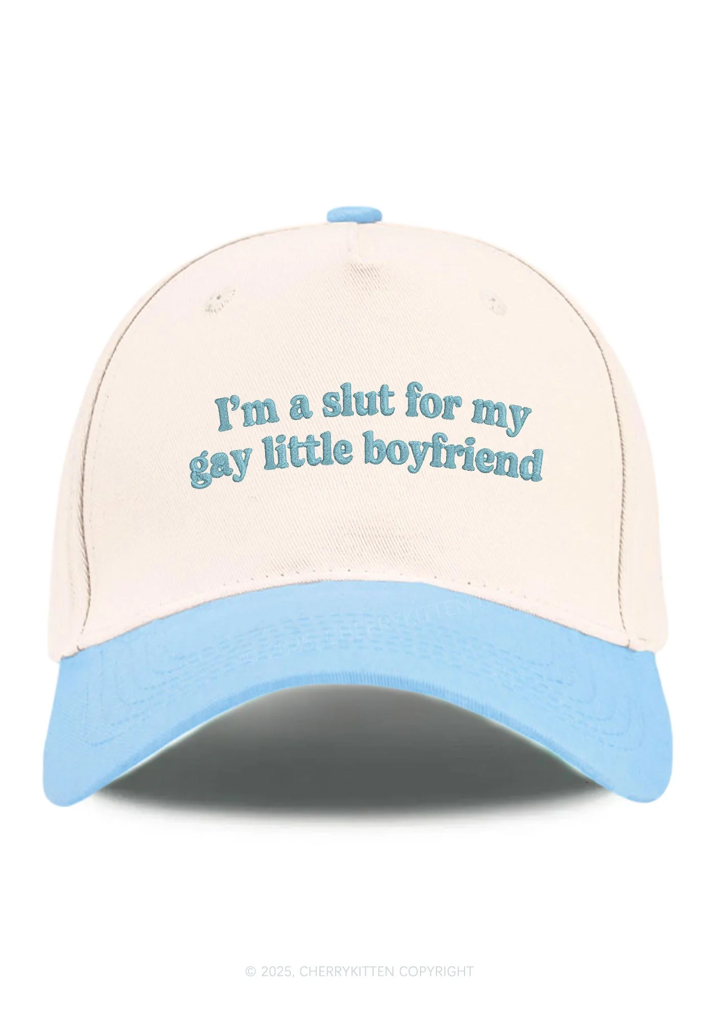 Embroidered Slxt For My Gay BF Pride Y2K Color Block Baseball Cap Cherrykitten - Image 13