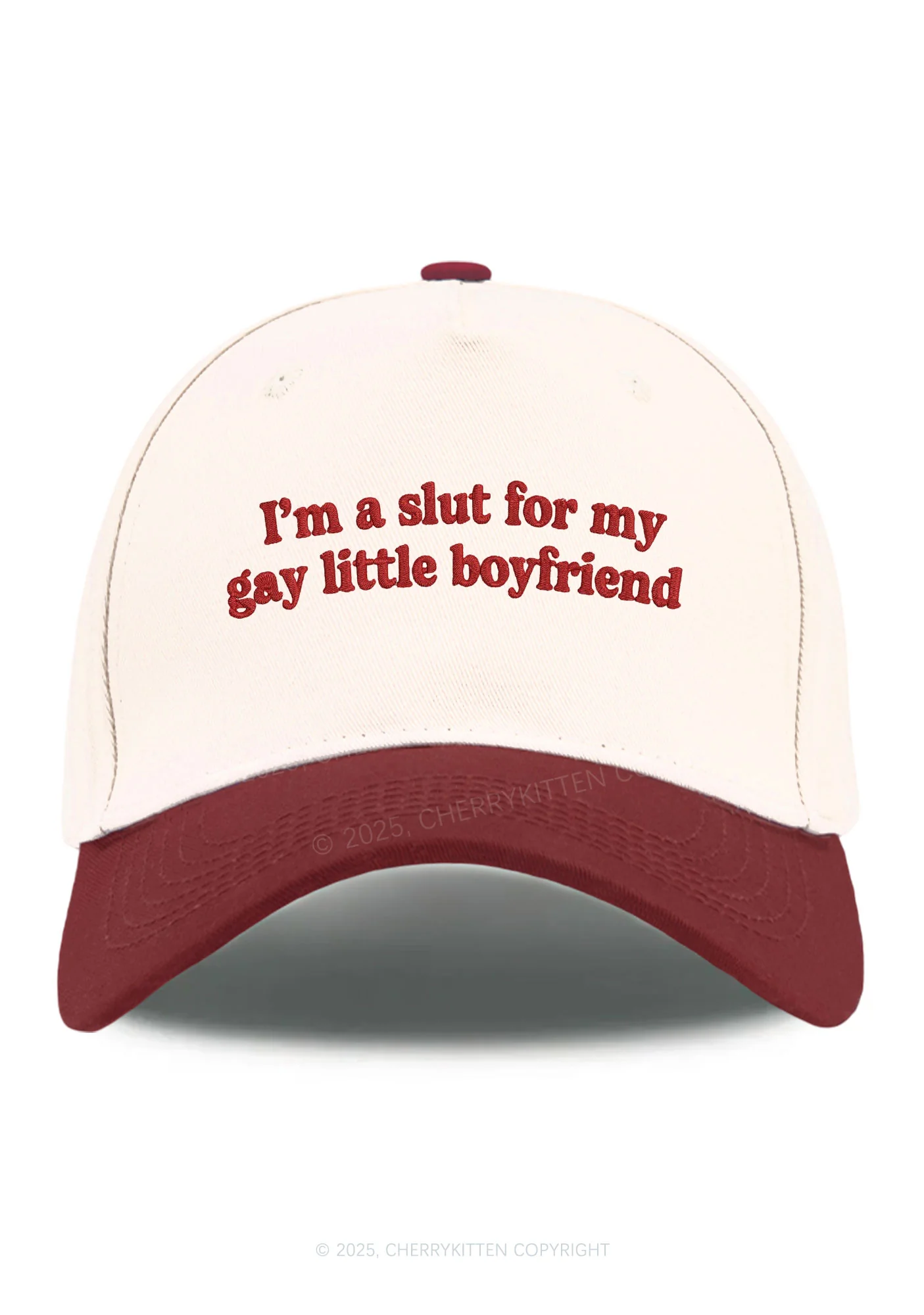 Embroidered Slxt For My Gay BF Pride Y2K Color Block Baseball Cap Cherrykitten - Image 4
