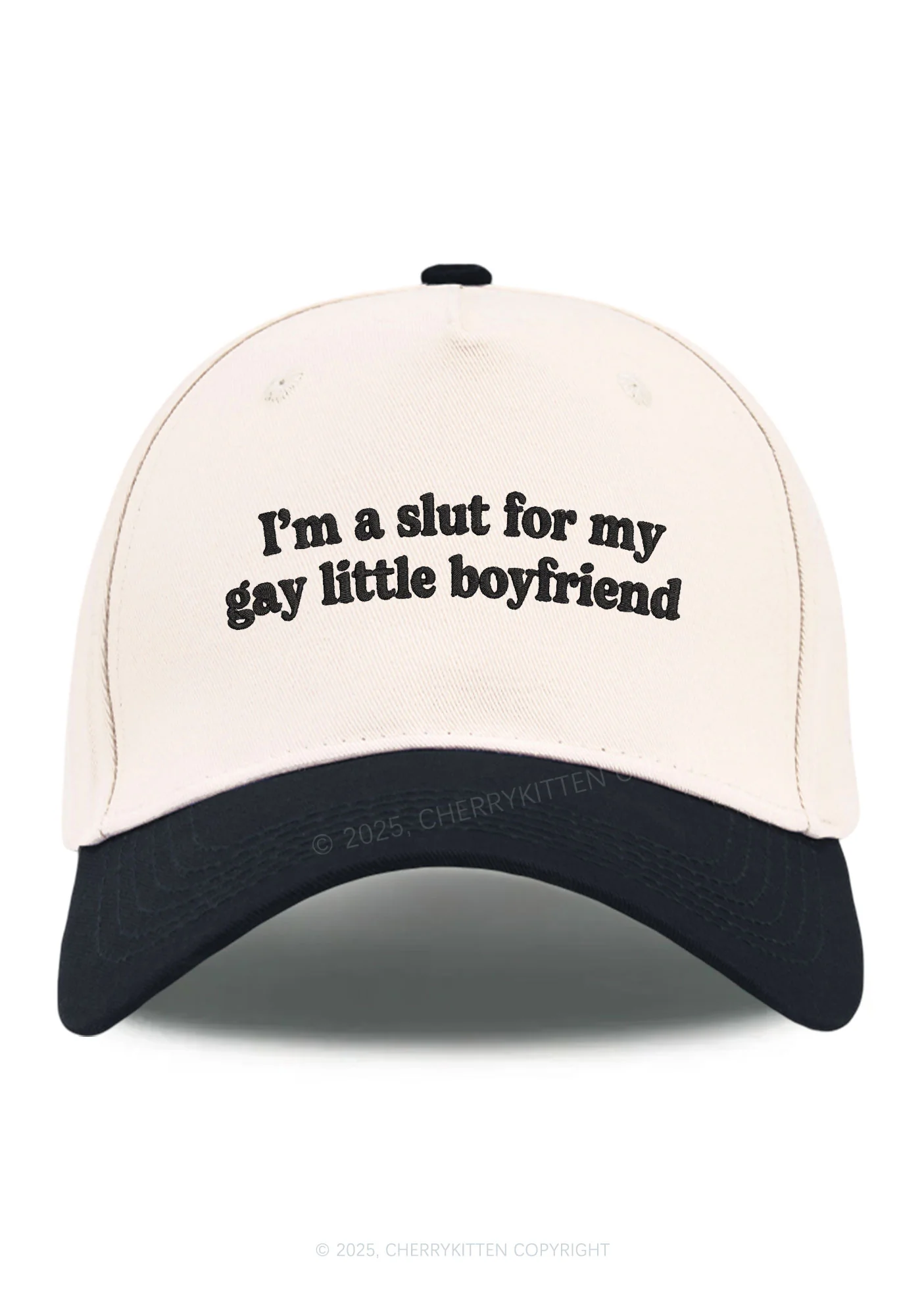 Embroidered Slxt For My Gay BF Pride Y2K Color Block Baseball Cap Cherrykitten - Image 9