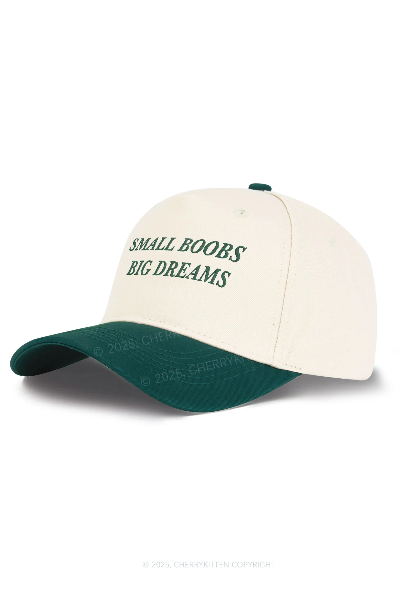 Embroidered Small But Big Dreams Y2K Color Block Baseball Cap Cherrykitten - Image 2