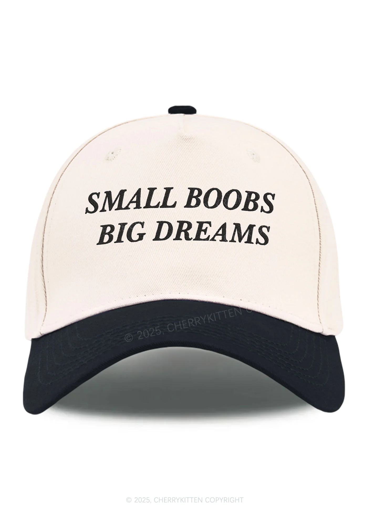 Embroidered Small But Big Dreams Y2K Color Block Baseball Cap Cherrykitten - Image 6