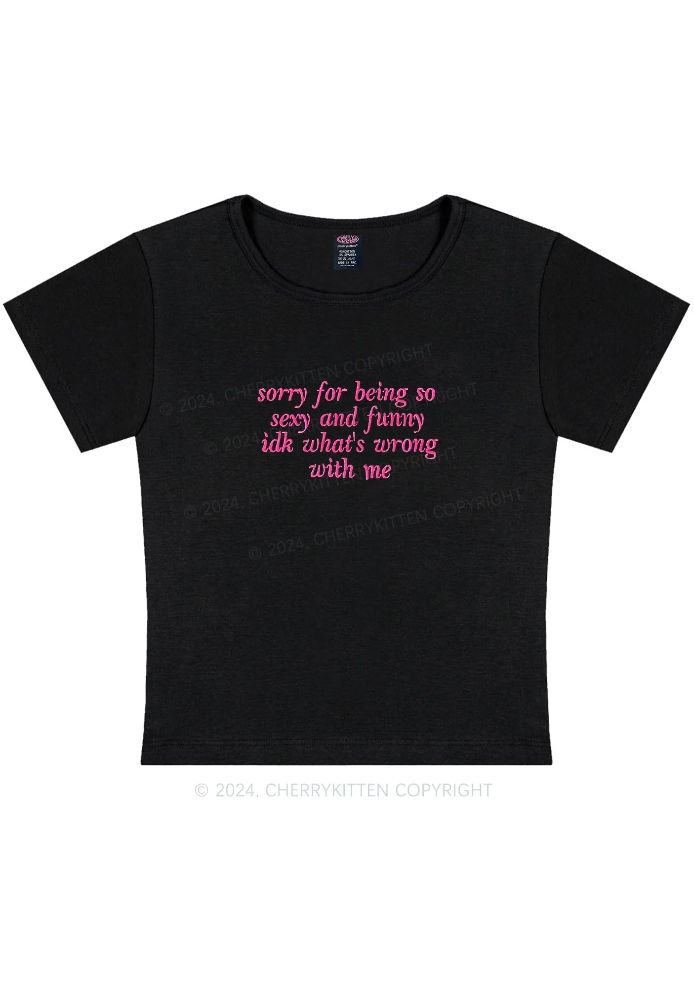 Embroidered Sorry For Being So Funny Y2K Baby Tee Cherrykitten - Image 5