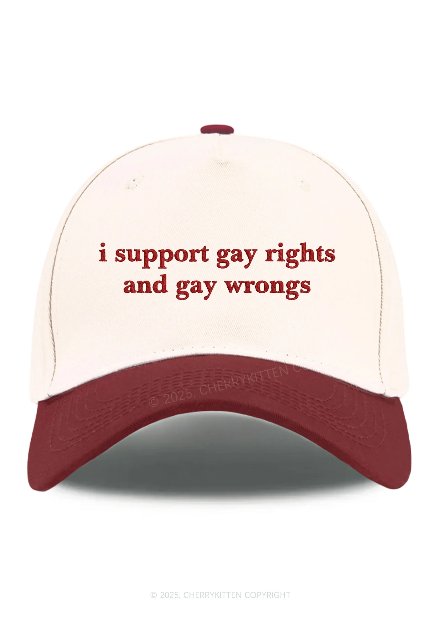 Embroidered Support Gay Rights Pride Y2K Color Block Baseball Cap Cherrykitten - Image 10