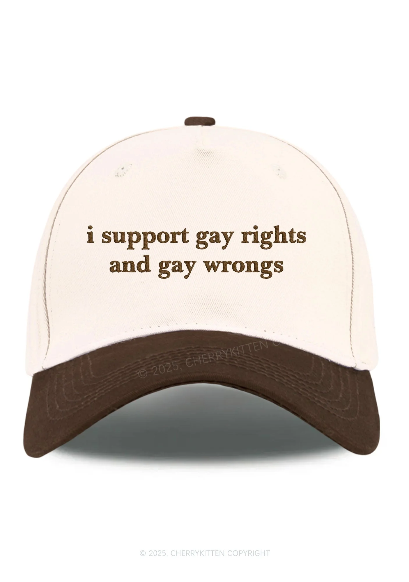 Embroidered Support Gay Rights Pride Y2K Color Block Baseball Cap Cherrykitten - Image 12