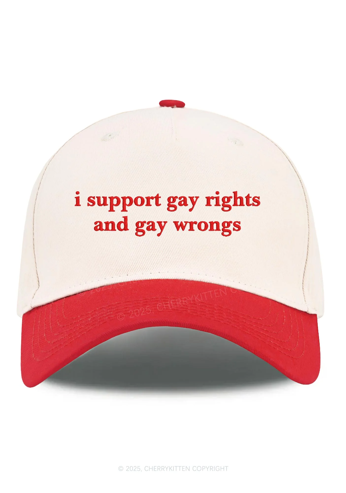 Embroidered Support Gay Rights Pride Y2K Color Block Baseball Cap Cherrykitten - Image 4