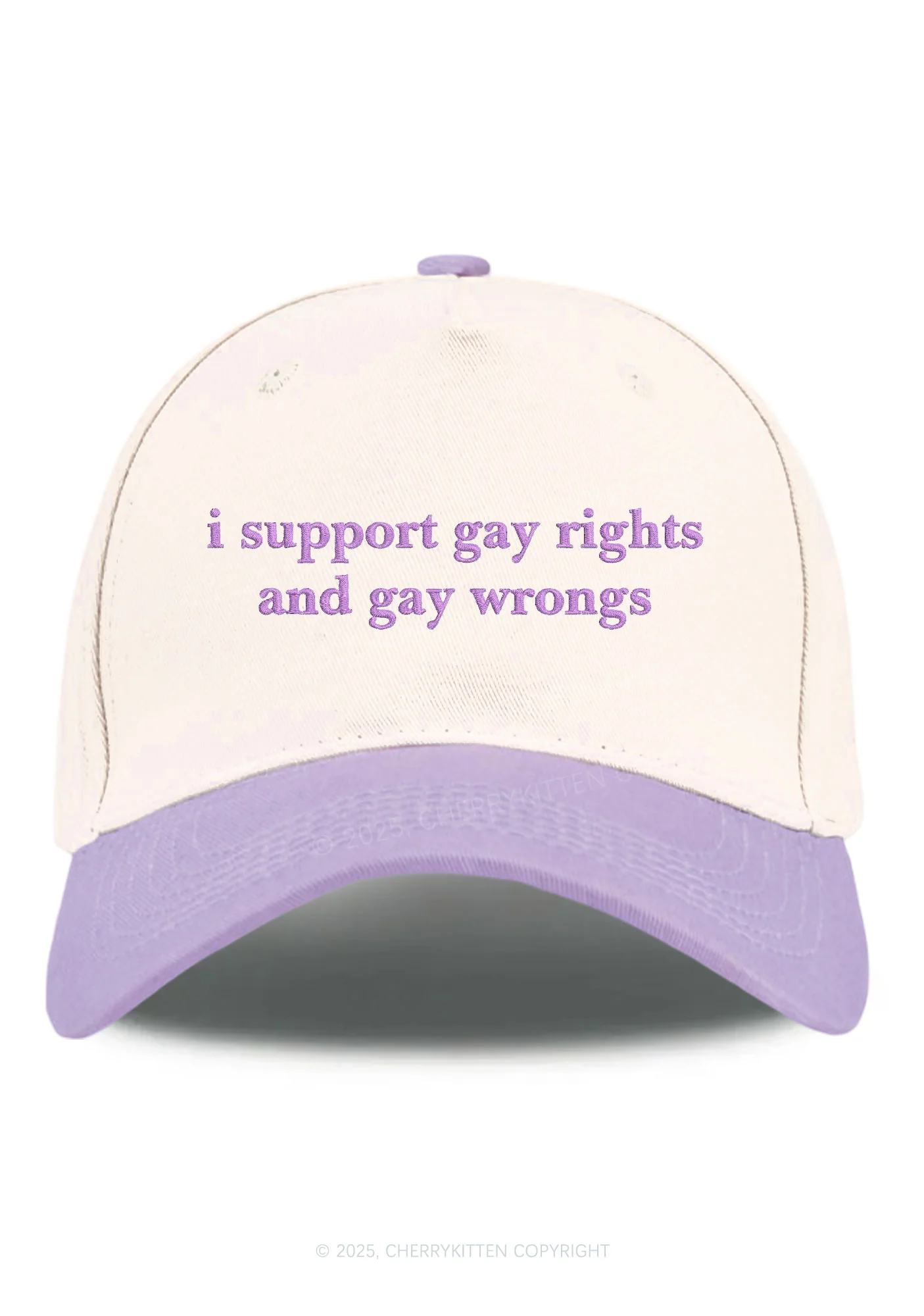 Embroidered Support Gay Rights Pride Y2K Color Block Baseball Cap Cherrykitten - Image 5