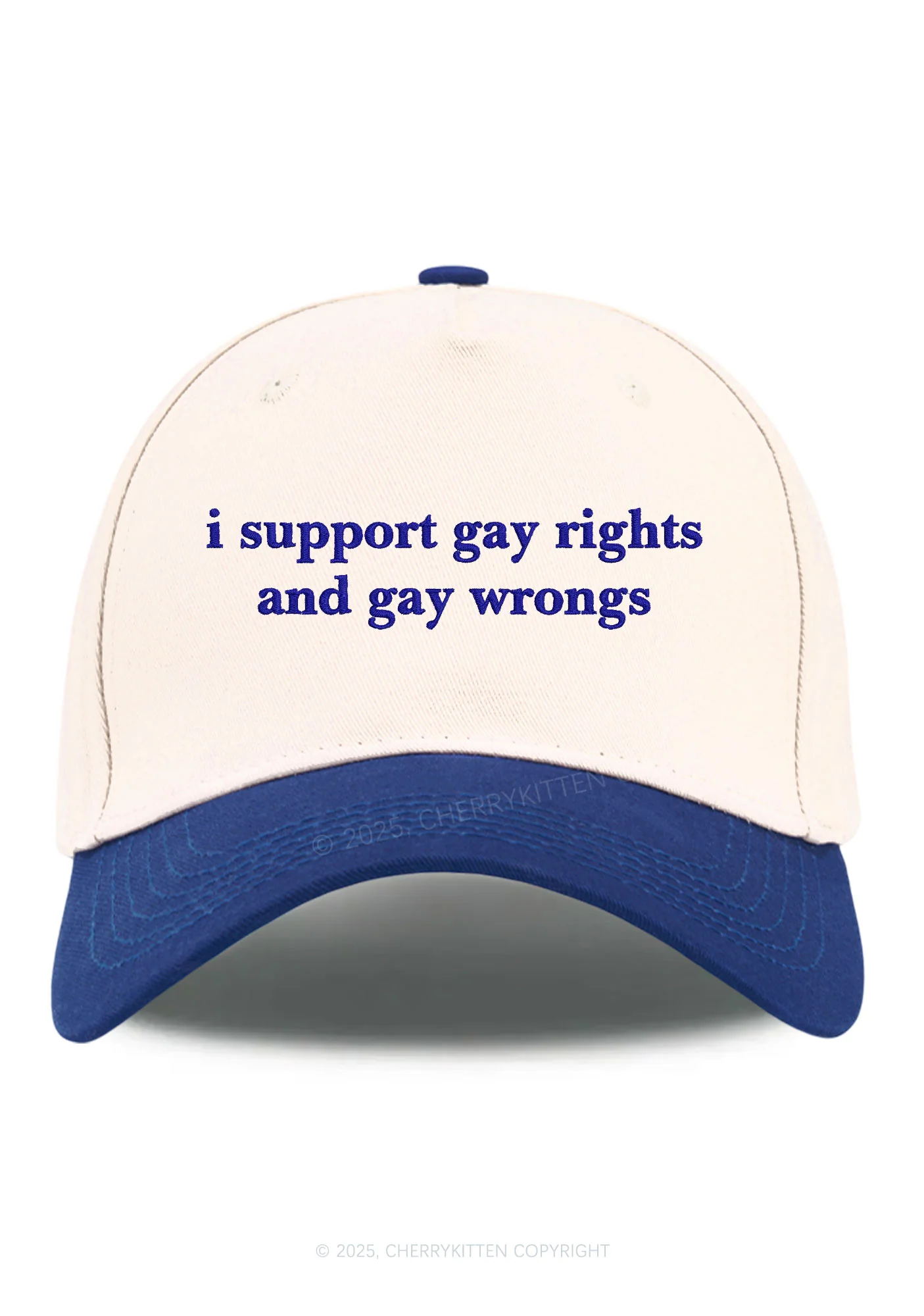 Embroidered Support Gay Rights Pride Y2K Color Block Baseball Cap Cherrykitten - Image 8