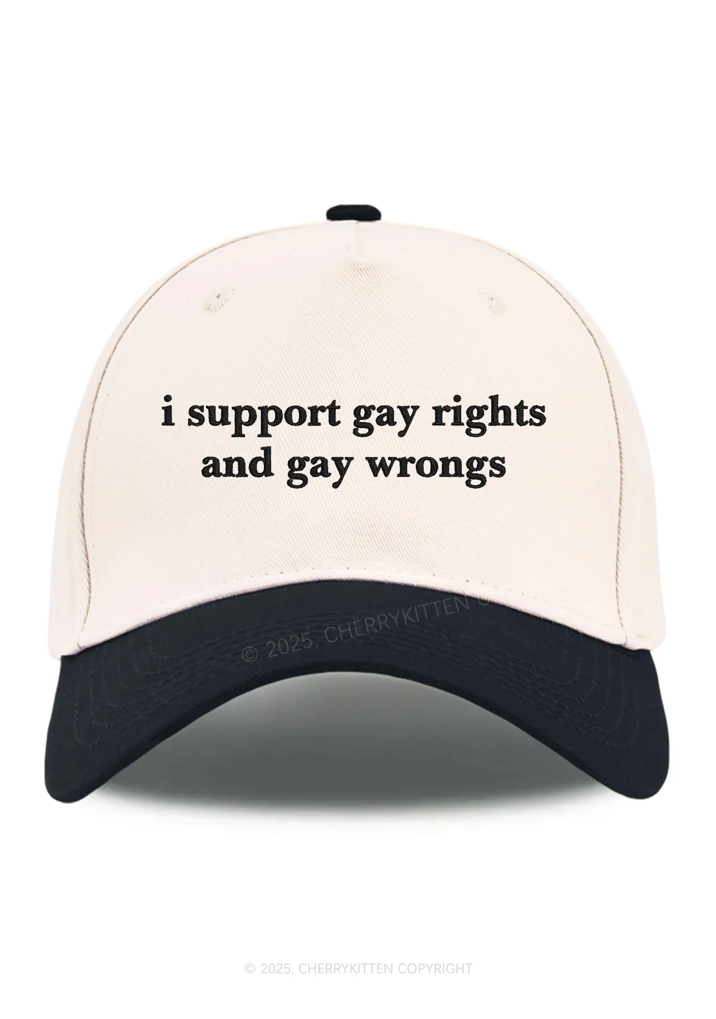 Embroidered Support Gay Rights Pride Y2K Color Block Baseball Cap Cherrykitten - Image 9