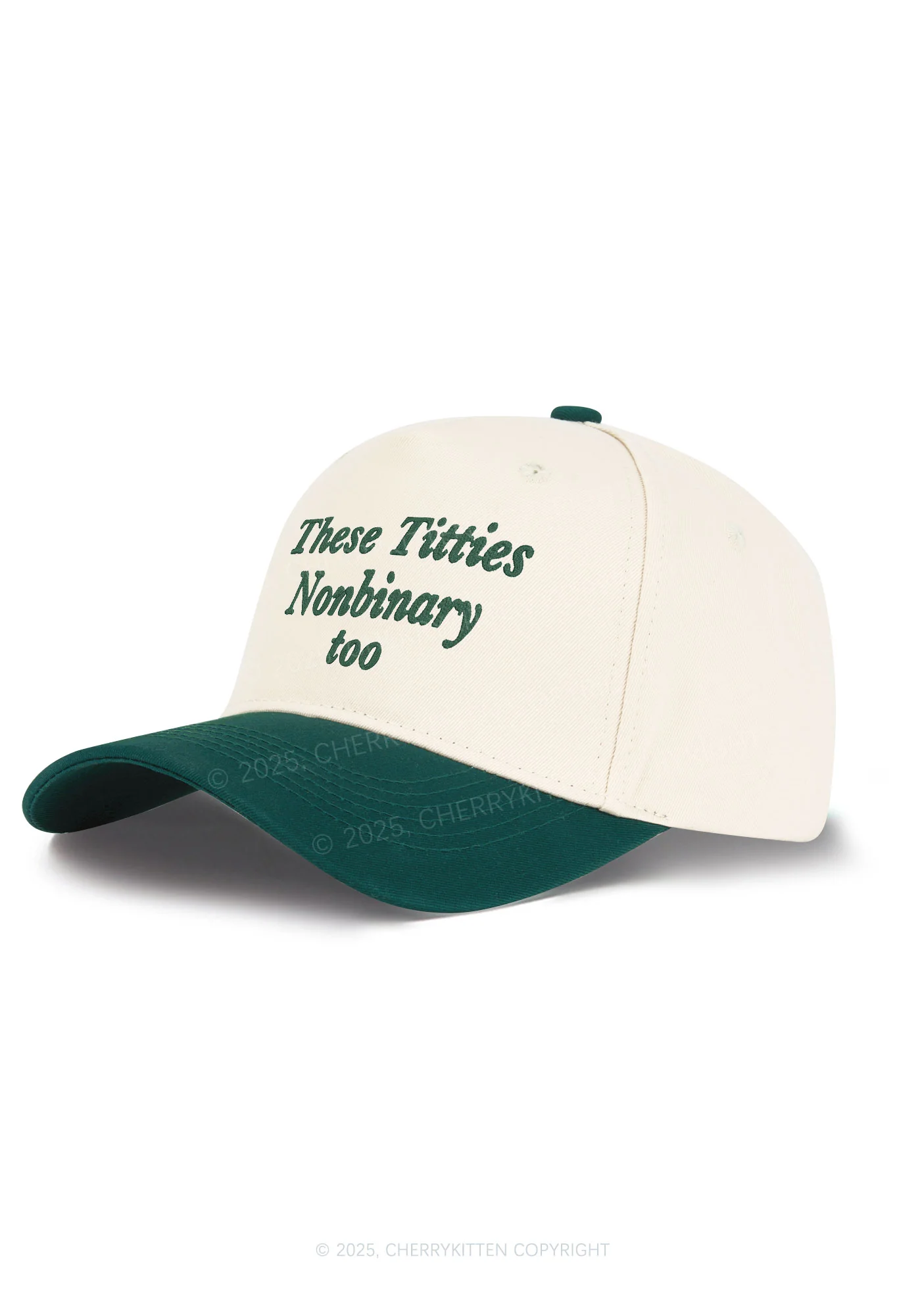 Embroidered Txtties Nonbinary Too Y2K Color Block Baseball Cap Cherrykitten - Image 2