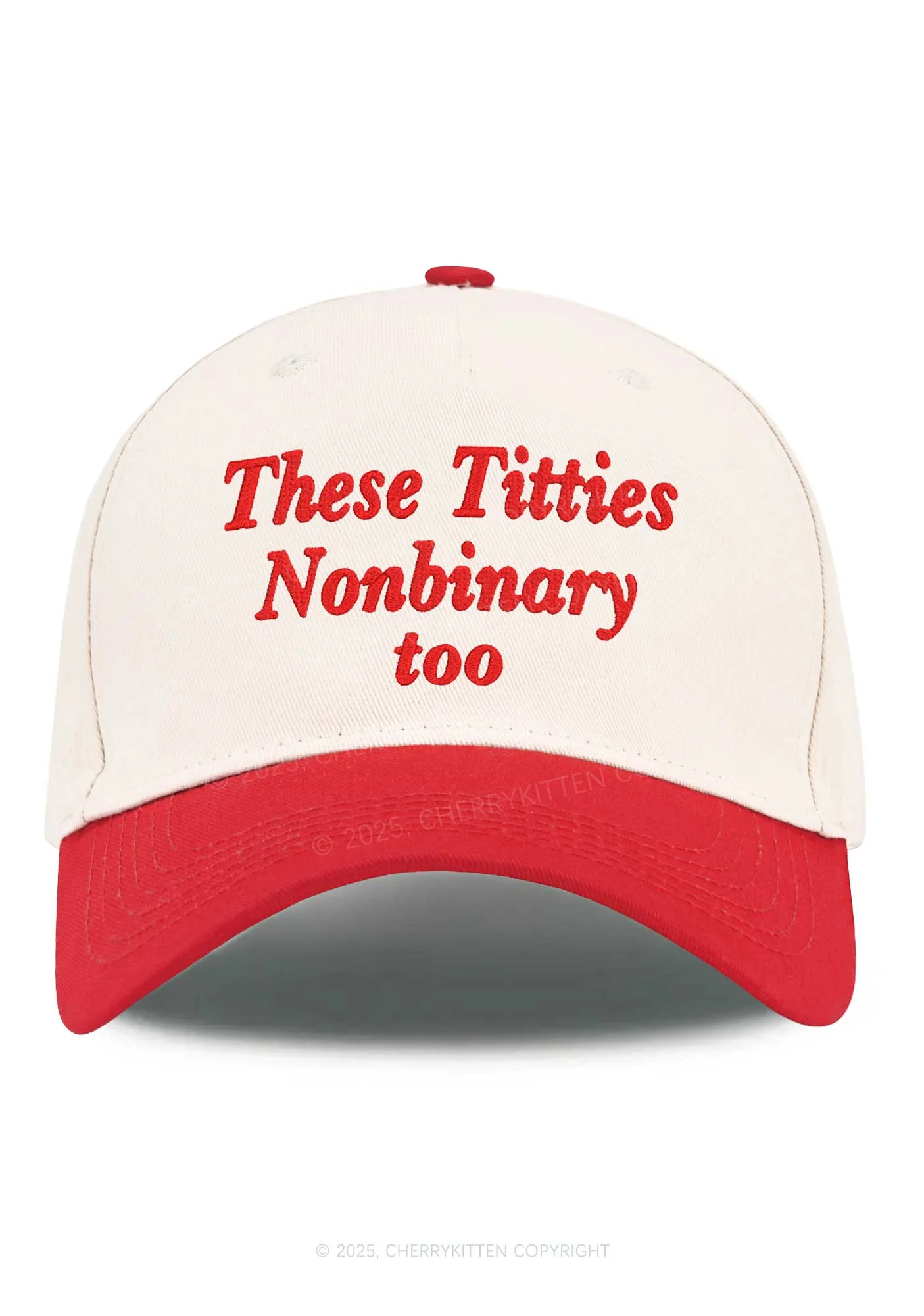 Embroidered Txtties Nonbinary Too Y2K Color Block Baseball Cap Cherrykitten - Image 5