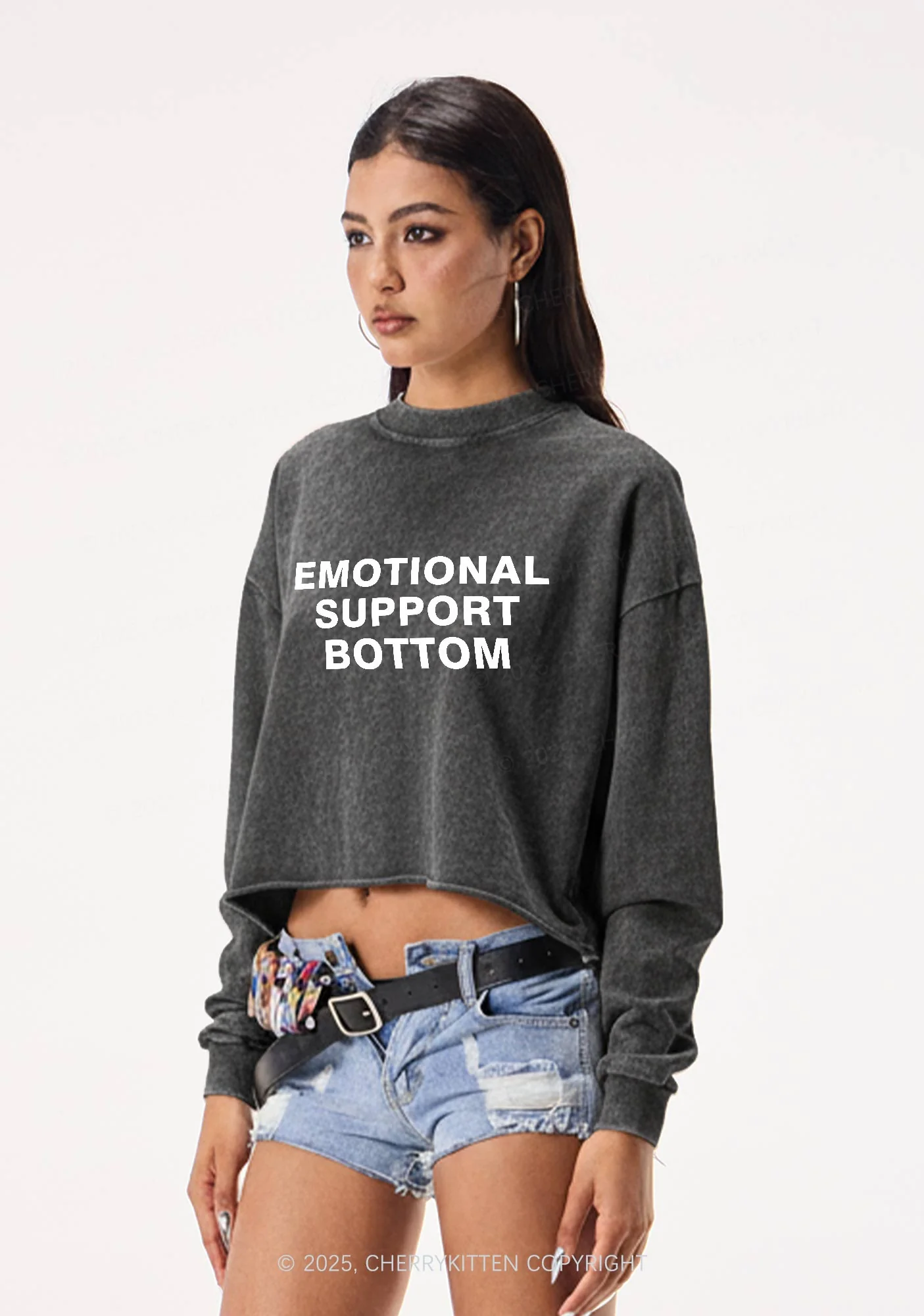 Emotional Support Bottom Pride Y2K Crop Washed Sweatshirts Cherrykitten - Image 2