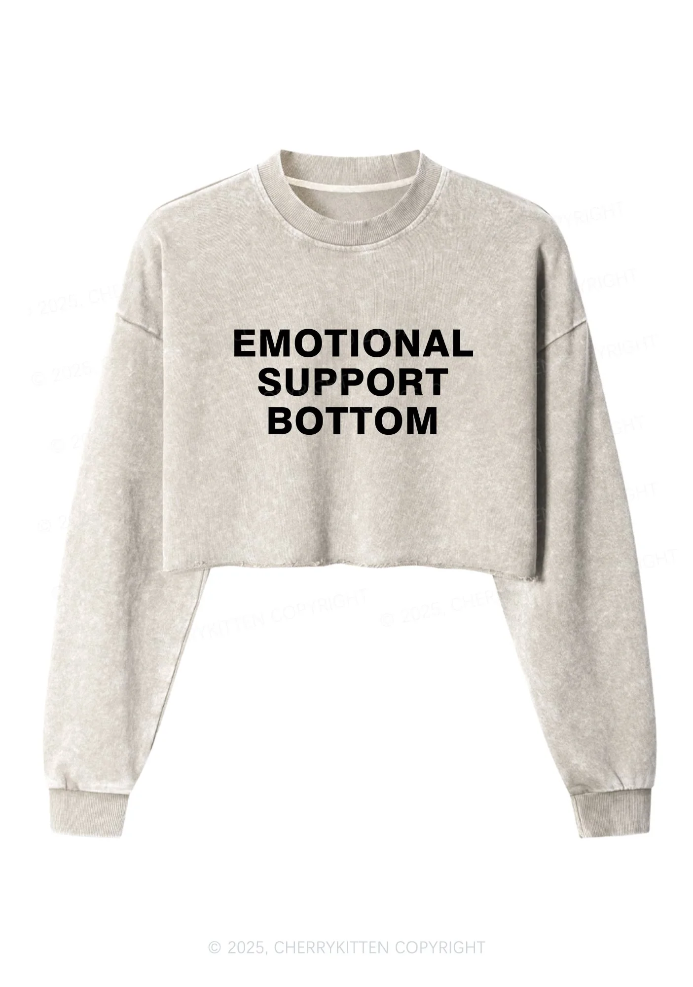 Emotional Support Bottom Pride Y2K Crop Washed Sweatshirts Cherrykitten - Image 4