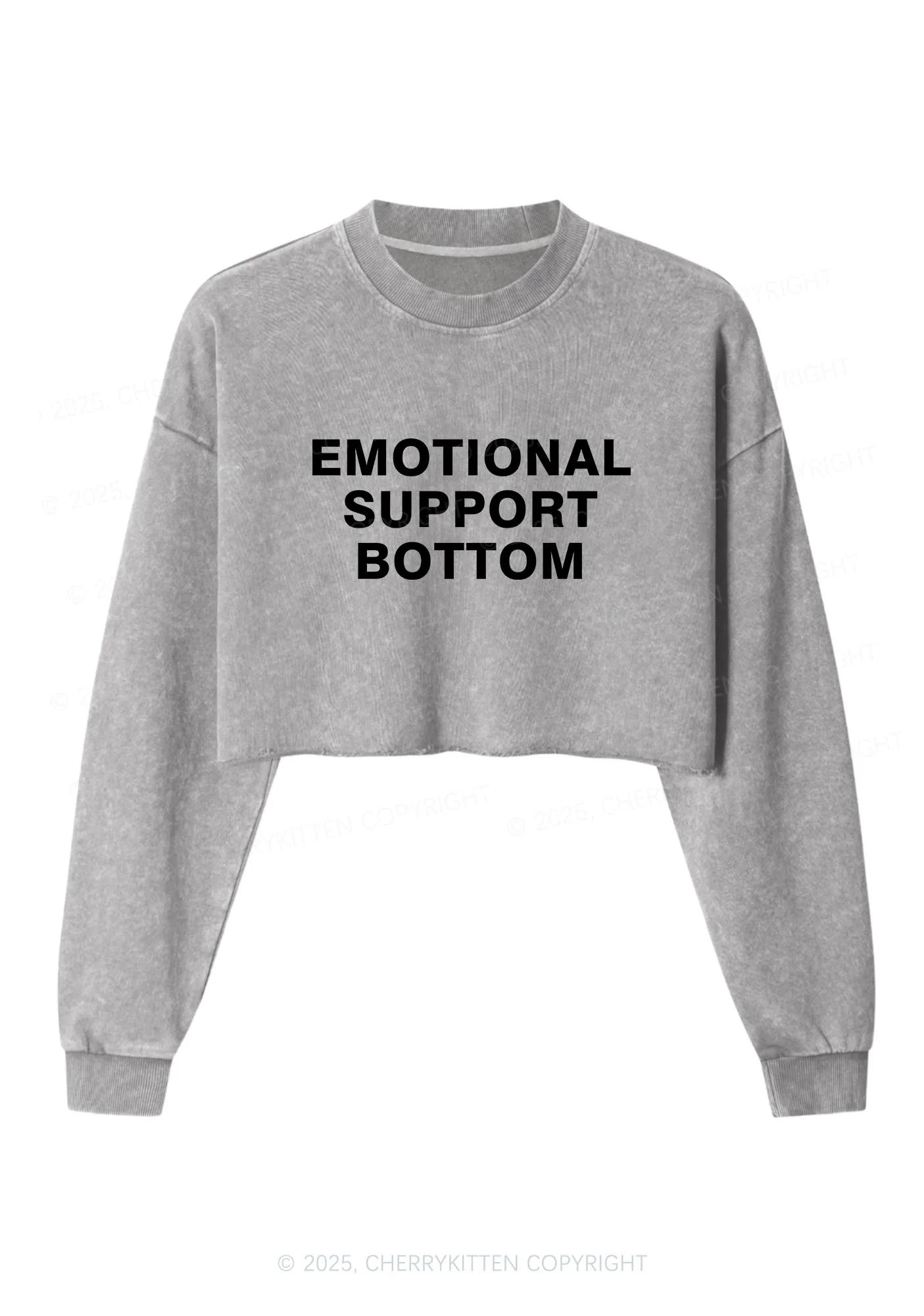 Emotional Support Bottom Pride Y2K Crop Washed Sweatshirts Cherrykitten - Image 5