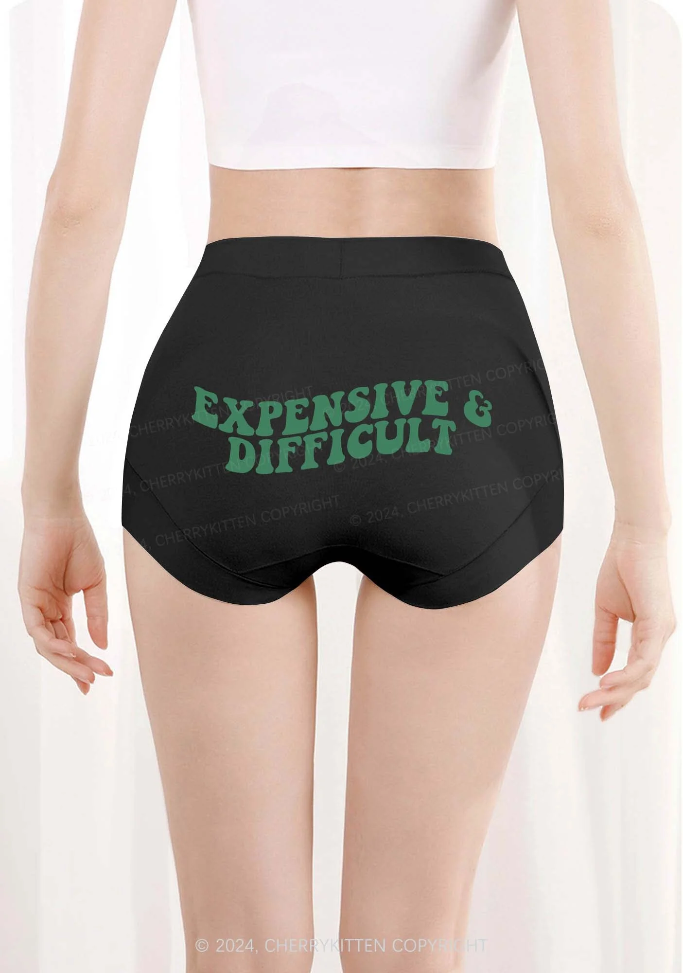 Expensive And Difficult Y2K Mid Rise Waist Boyshort Cherrykitten - Image 3