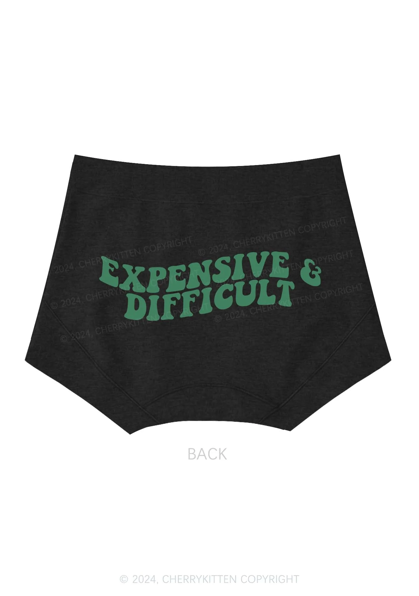 Expensive And Difficult Y2K Mid Rise Waist Boyshort Cherrykitten - Image 4