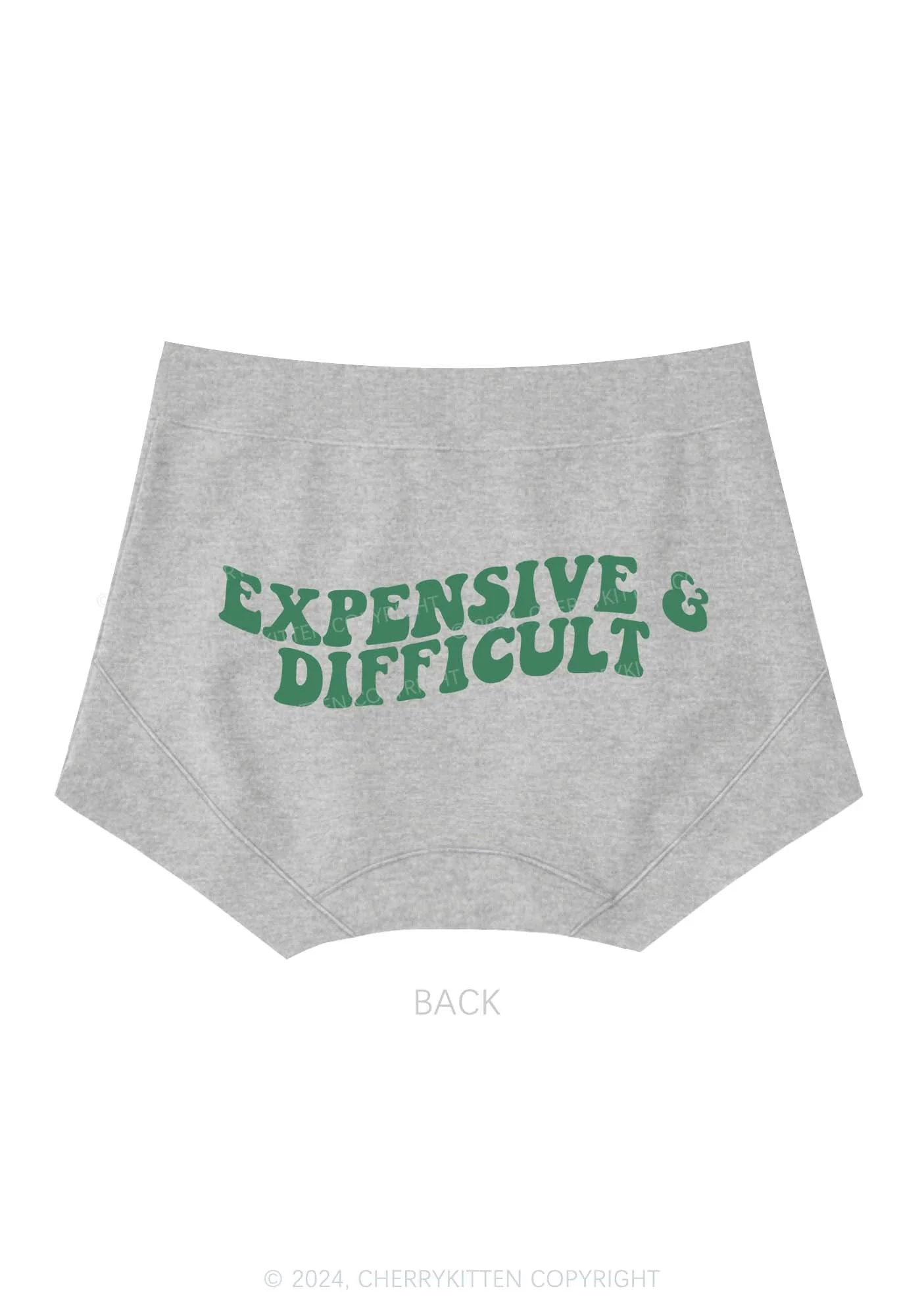Expensive And Difficult Y2K Mid Rise Waist Boyshort Cherrykitten - Image 5